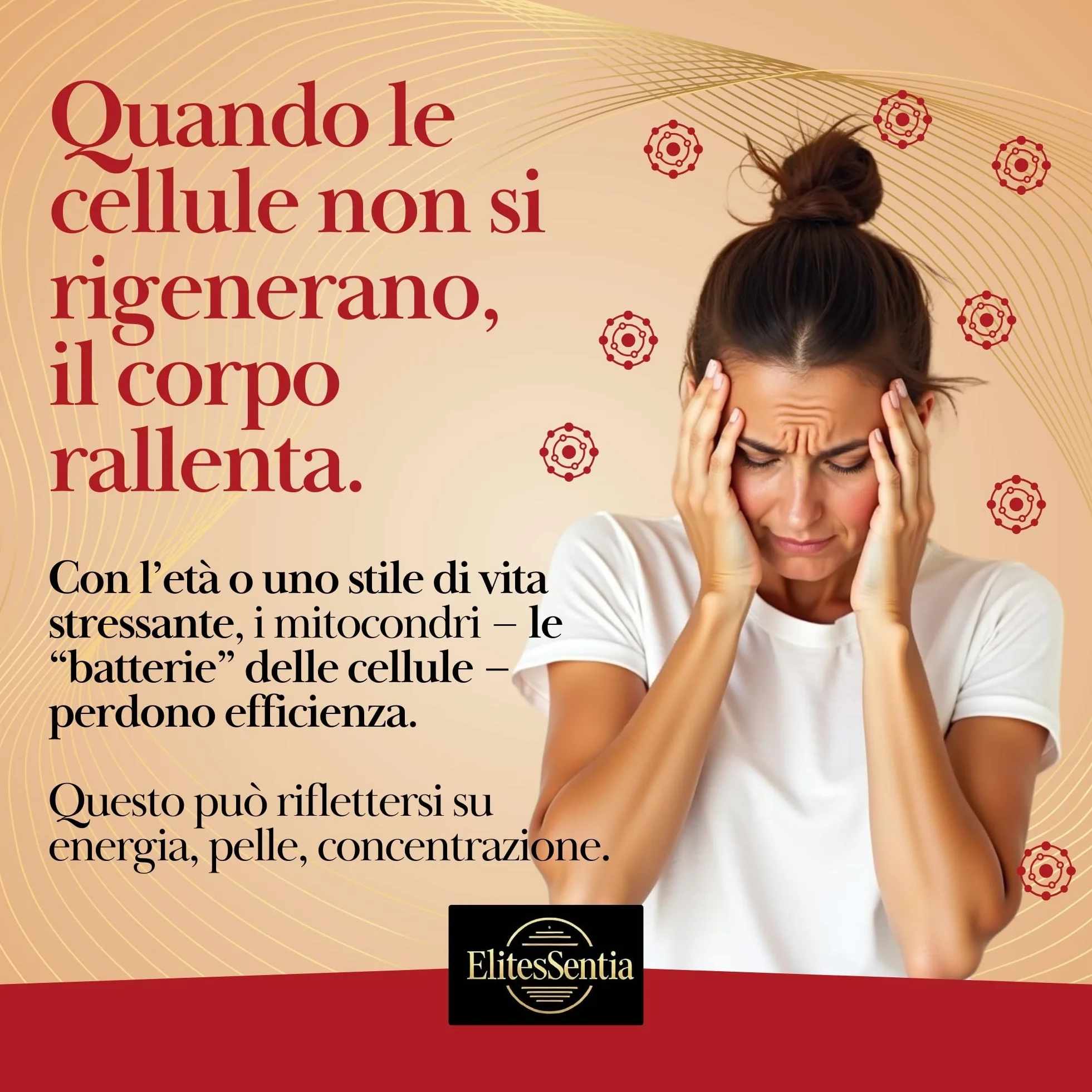 ElitesSentia Urolitina A Integratore 120 Compresse 2000 mg Melograno Juglans Regia Mirtillo Nero