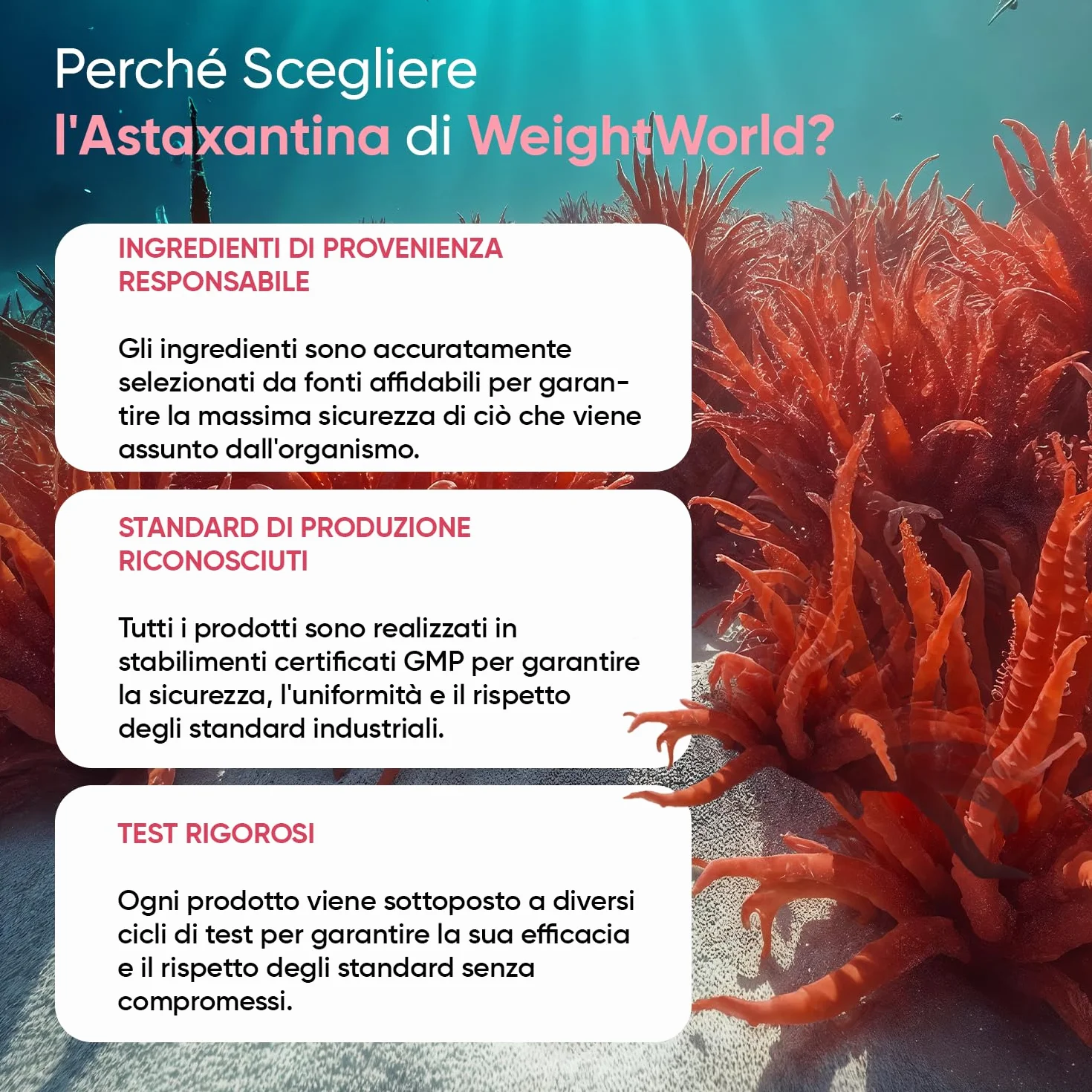 Astaxantina 240 Softgel Vegane Integratore Alimentare Naturale da Microalghe Haematococcus Pluvialis Prodotto in UE