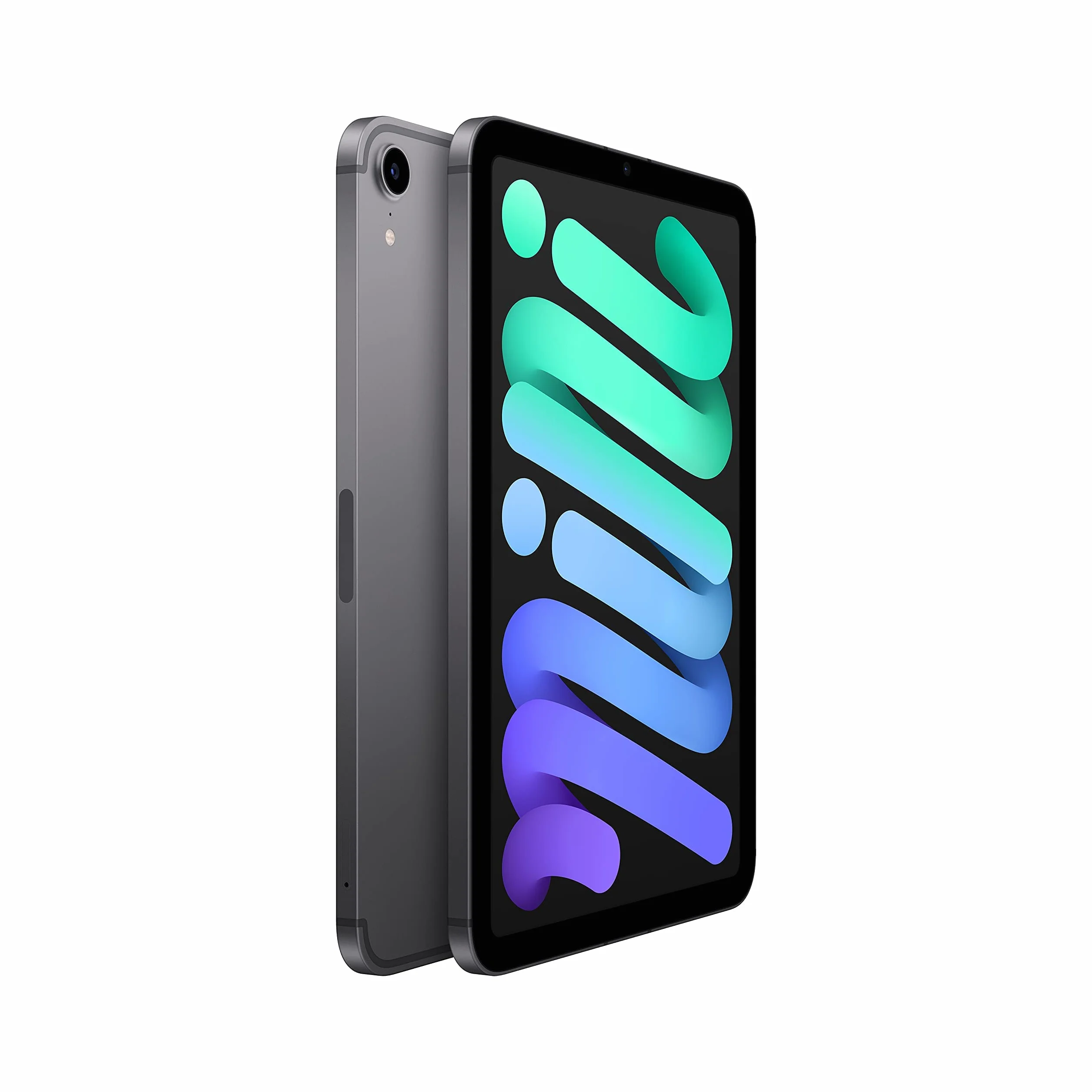 Apple iPad mini 8,3-pollici Wi-Fi + Cellulare 64GB Grigio Siderale Ricondizionato