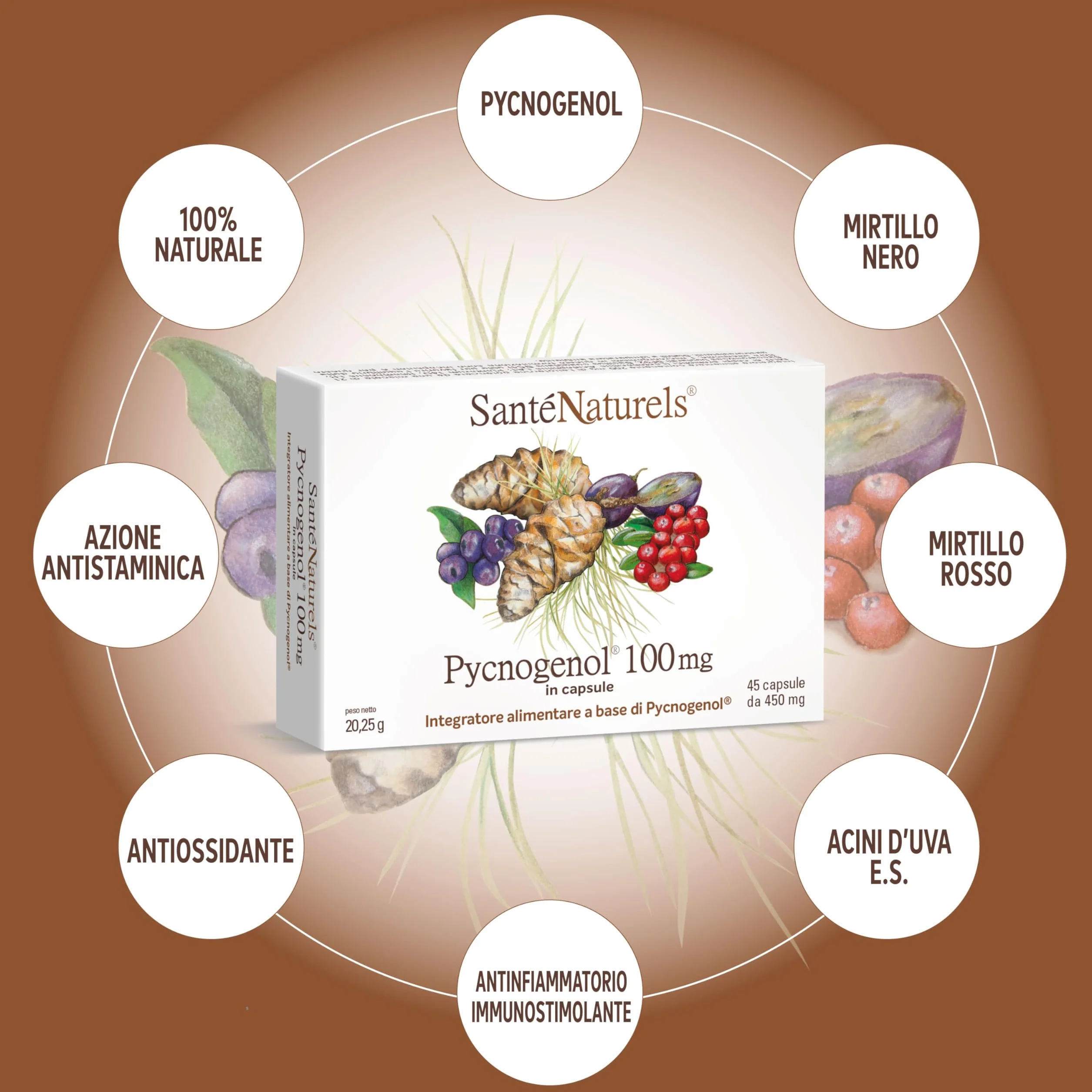 Pycnogenol 45 Capsule Vegetali Integratore con Zafferano, Mirtillo Rosso e Mirtillo Nero Brevettato Horphag