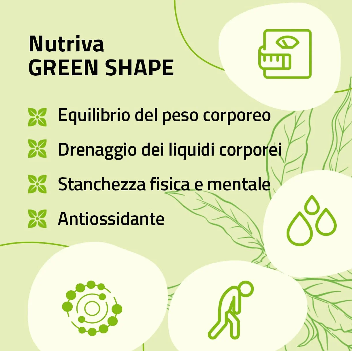 NUTRIVA Green Shape Integratore Alimentare con Glucomannano, Tè Verde e Probiotico HOWARU® B420™, 14 Bustine