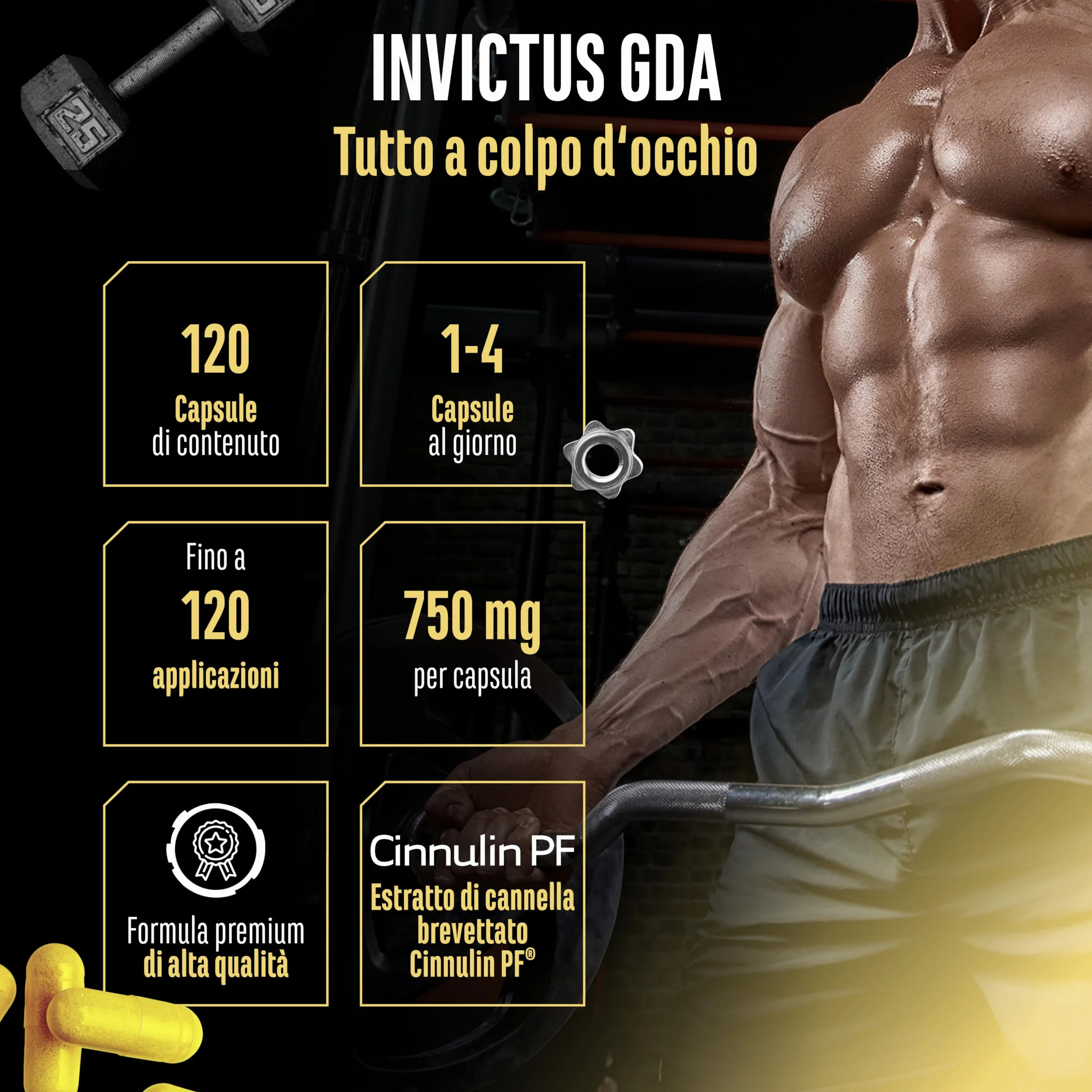 Invictus G.D.A Complesso GDA ad Alto Dosaggio con Berberina, Cinnulin PF® e Acido R-Alfa Lipoico 120 Capsule Vegane