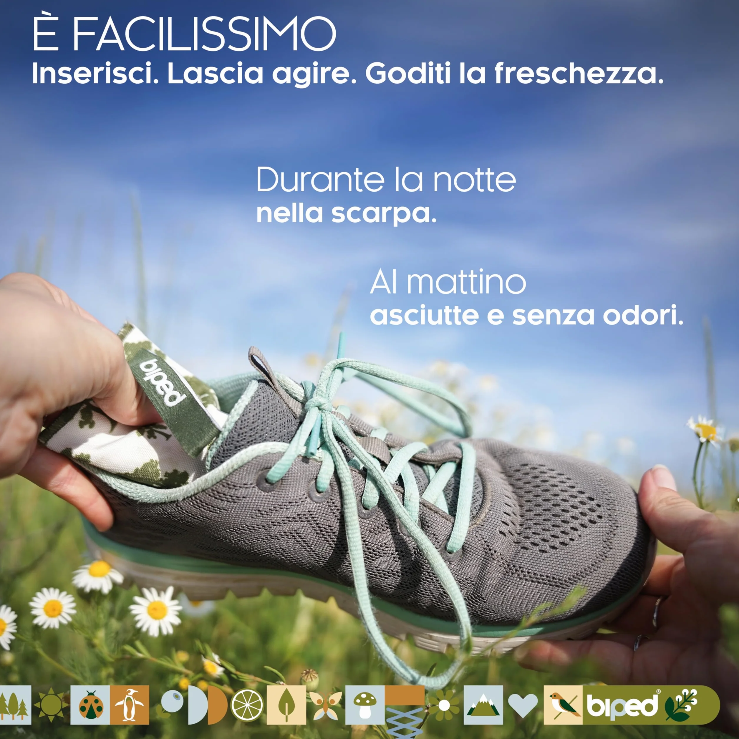 Cedro naturale asciuga scarpe in legno 1 paio cuscinetti deodoranti senza sostanze chimiche