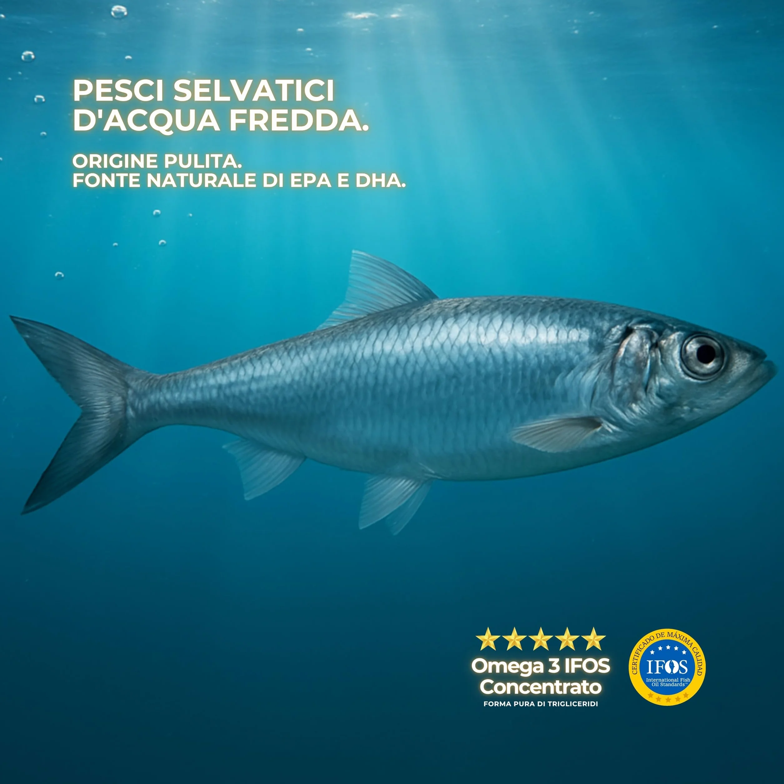 Life Pro Healthy Omega 3 Capsule IFOS 3000mg 35% EPA 25% DHA Olio di Pesce Puro Distillato