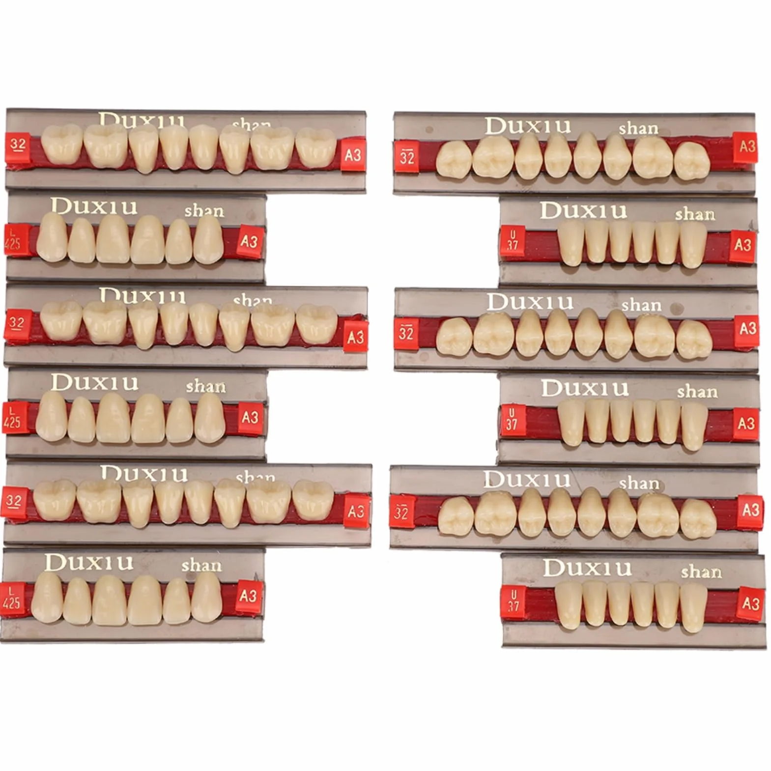 Resina per denti finti protesi, materiale dentale, 12 pezzi, sostituzione fai da te, Halloween