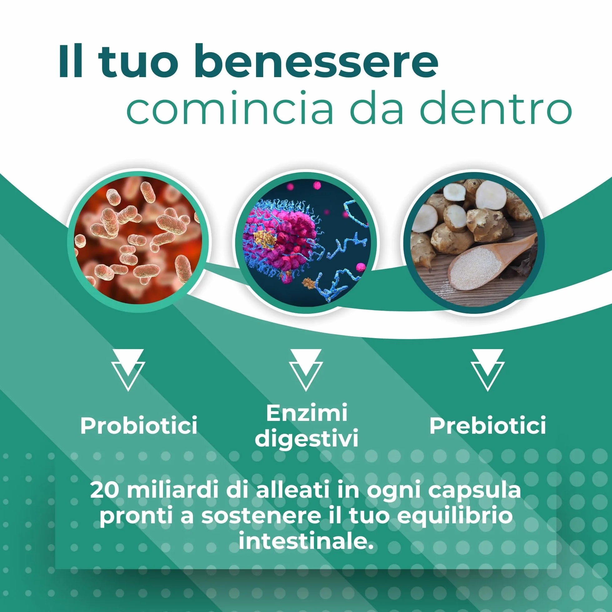 Probiotici e Prebiotici 20 Ceppi Formula Completa Bromelina Enzimi Digestivi Vitamine 30 CPS Vegane Domina Pharmaceutical