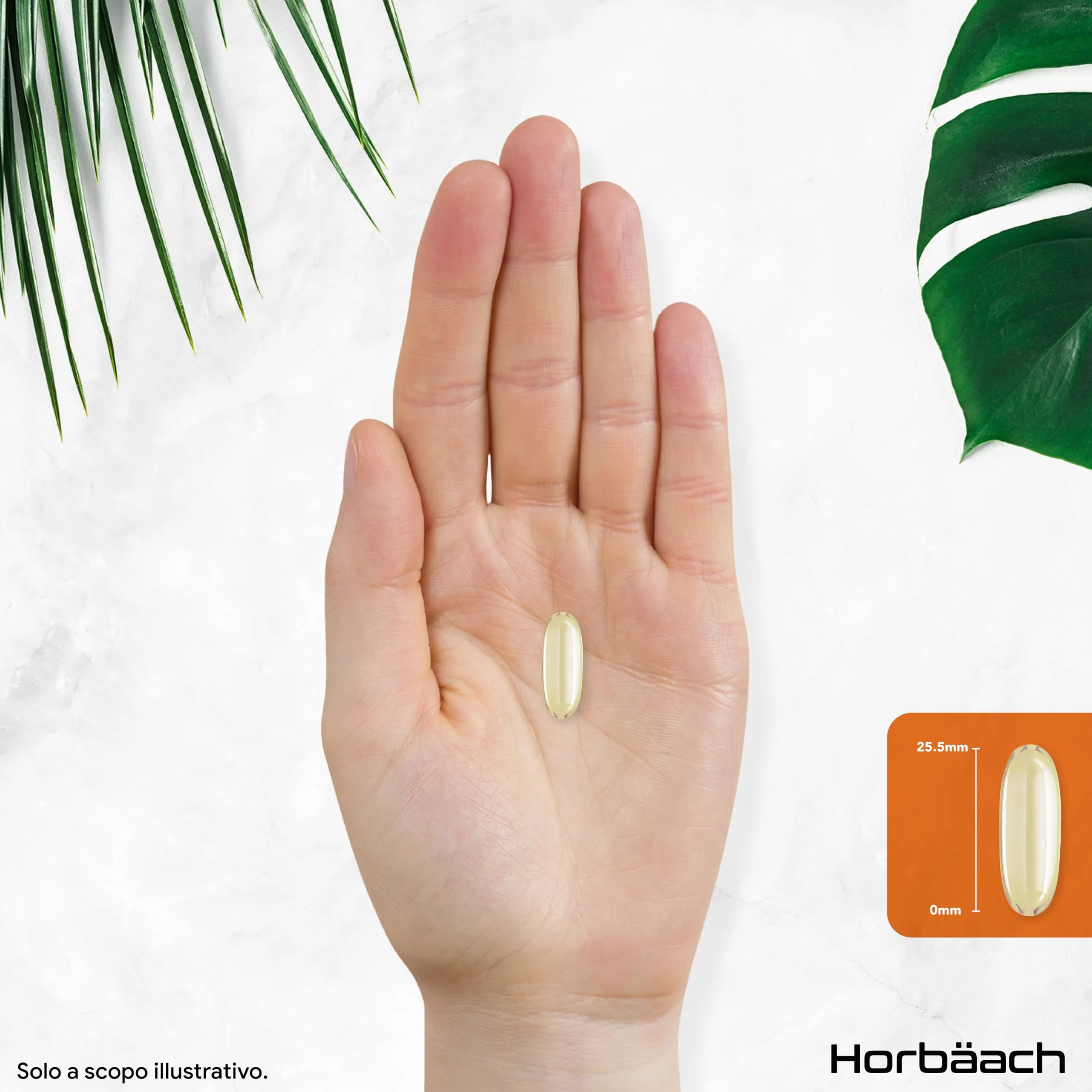 Olio di Semi di Zucca Capsule 3000 mg Horbaach Integratore 200 capsule molli