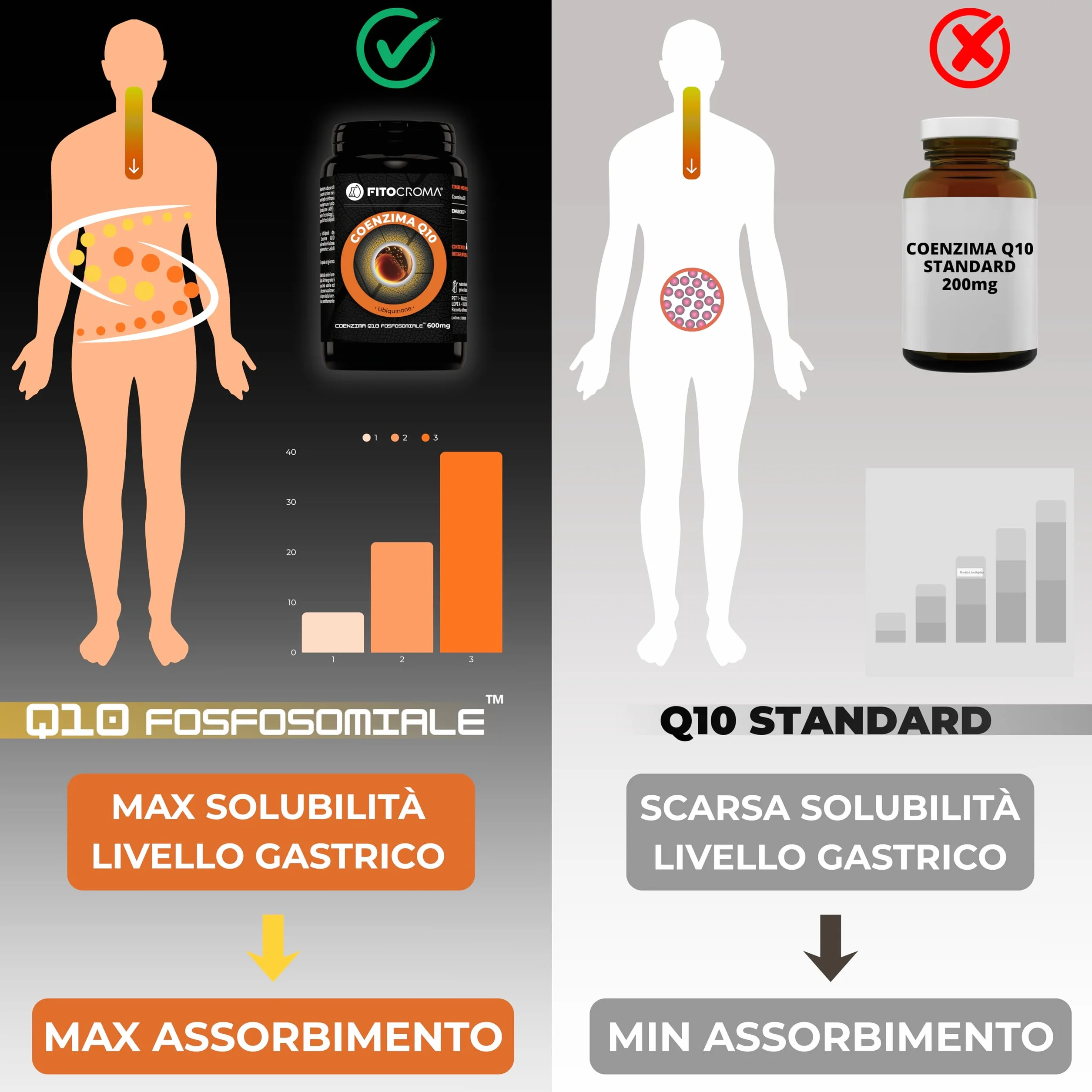 Coenzima Q10 300mg 180 capsule Ubiquinone Fosfosomiale™ Coq10 integratore