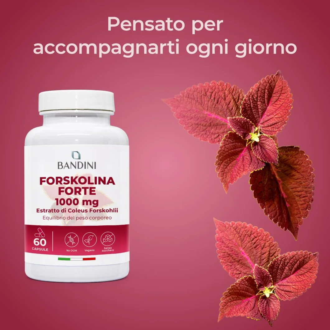 Forskolina Forte 1000mg 35:1 Coleus Forskohlii Estratto Vegan 60 Capsule Digestivo