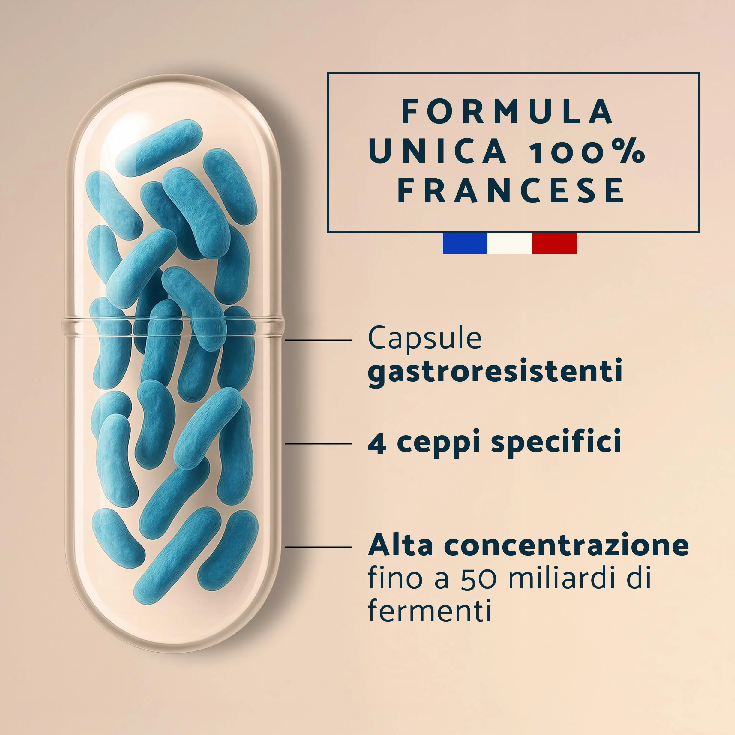Lactobacillus Gasseri Probiotici 50 Miliardi UFC 60 Capsule Gastroresistenti Apyforme