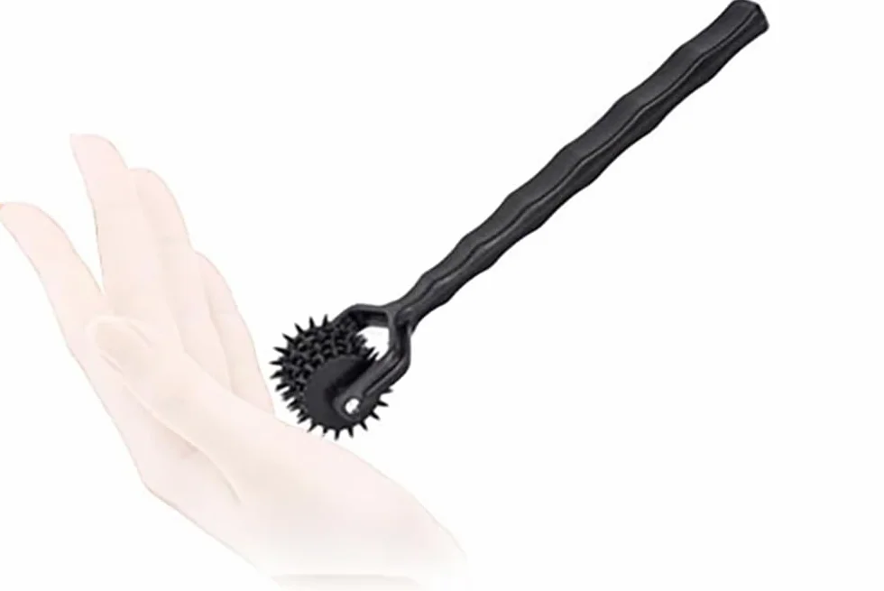 Ruota Stimolante BDSM con Punte Nervenrad per Massaggi SM
