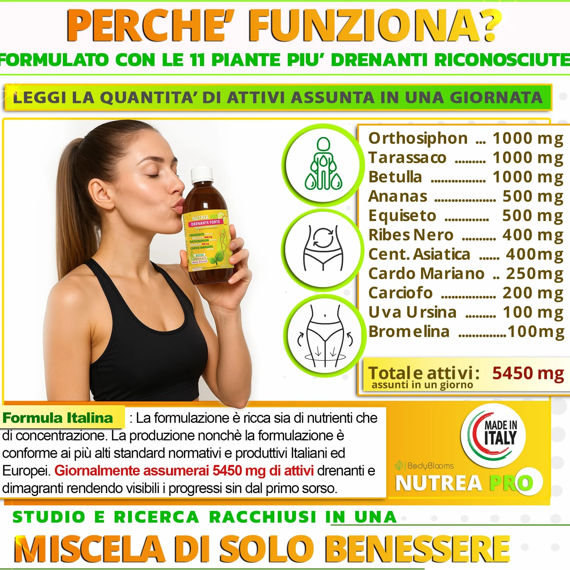 NUTREA PRO Drenante Anticellulite Dimagrante Forte 500ml con Bromelina e Tarassaco