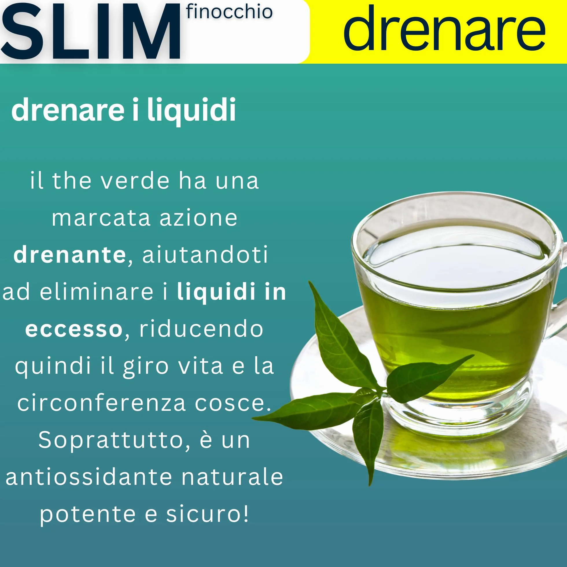 Silm Bromelina Alta Concentrazione 5000 GDU 2500 GDU Serenoa Repens The Verde Finocchio Drenante Naturale 120 Compresse Vegane Made in Italy