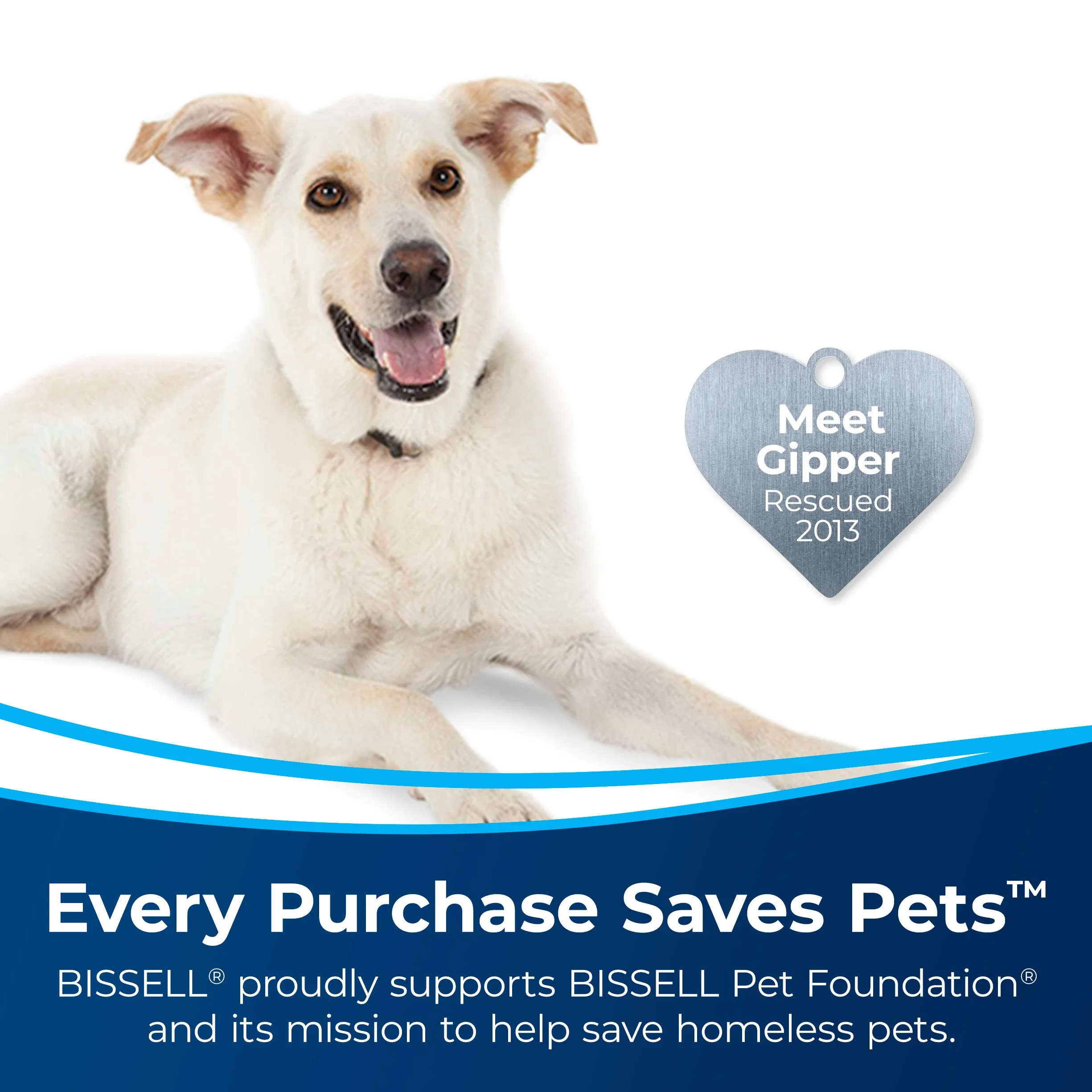 BISSELL Deep Clean + Oxy 3156A 1360,8 g