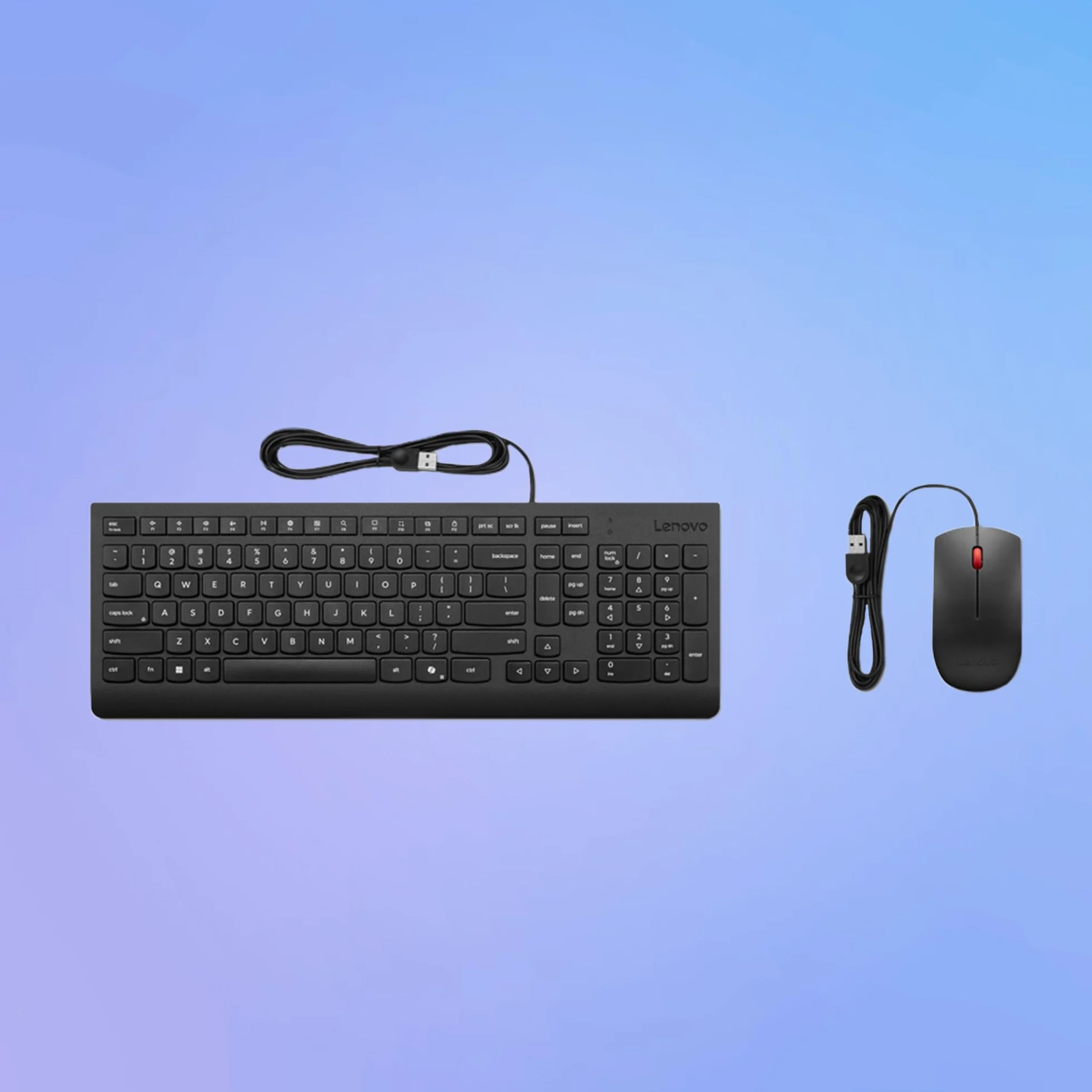 Lenovo Combo Tastiera + Mouse Cablato Essential – USB, Layout Compatto con Tastierino, Mouse Ergonomico 1600 DPI, Design Anti-Schizzi, Tasto Copilot – Nero