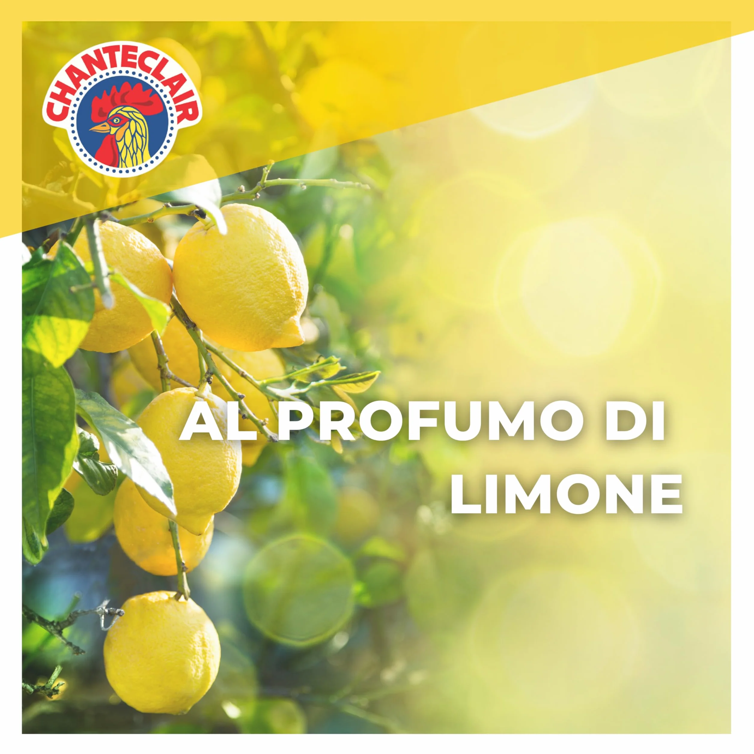 Chanteclair Sgrassatore Universale Spray 12x750 ml