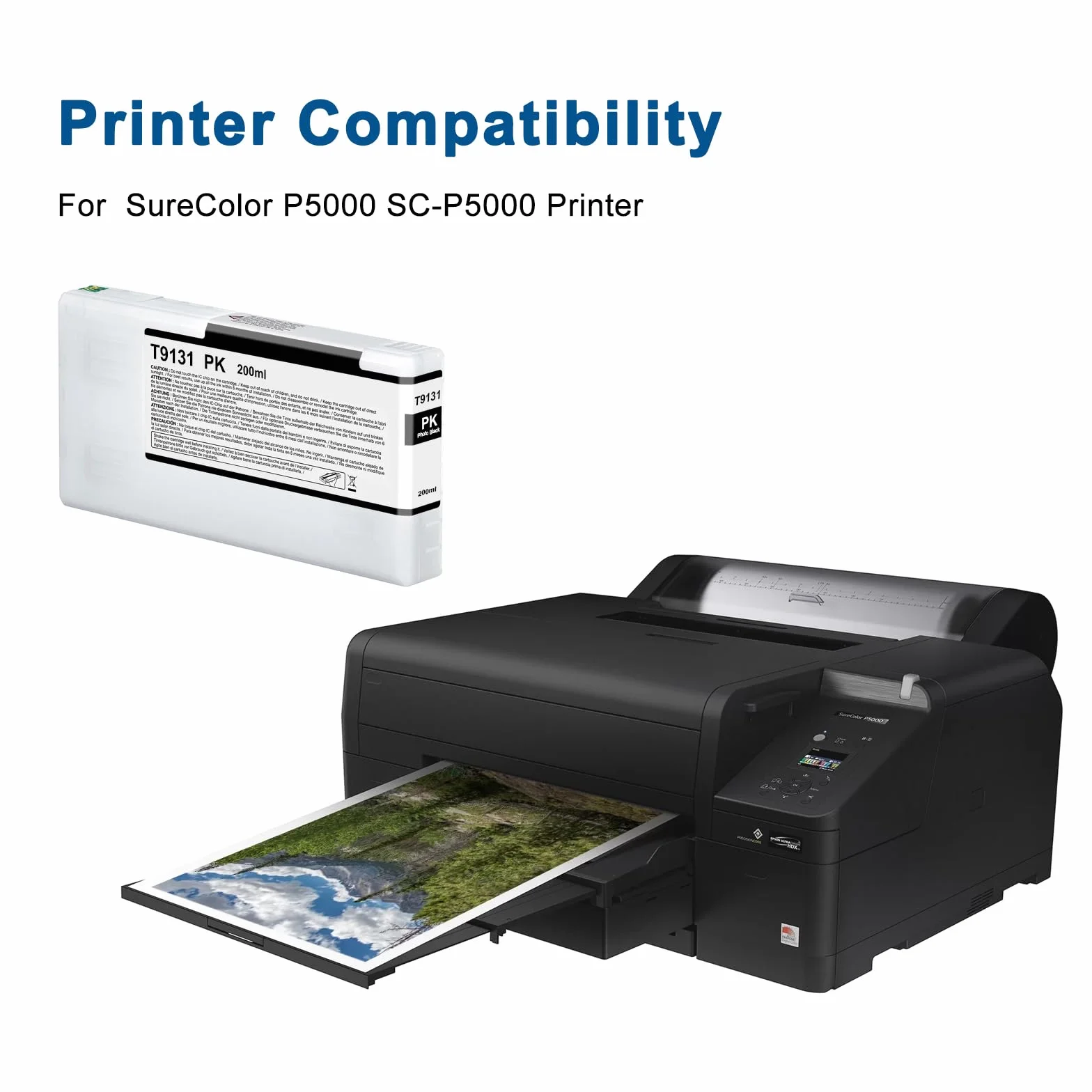 T9131 Cartuccia d'inchiostro Nero fotografico per Epson T9131 Cartucce d'inchiostro PK C11CF66001A Sostituzione per Epson SureColor SC-P5000(1 x Nero Foto)