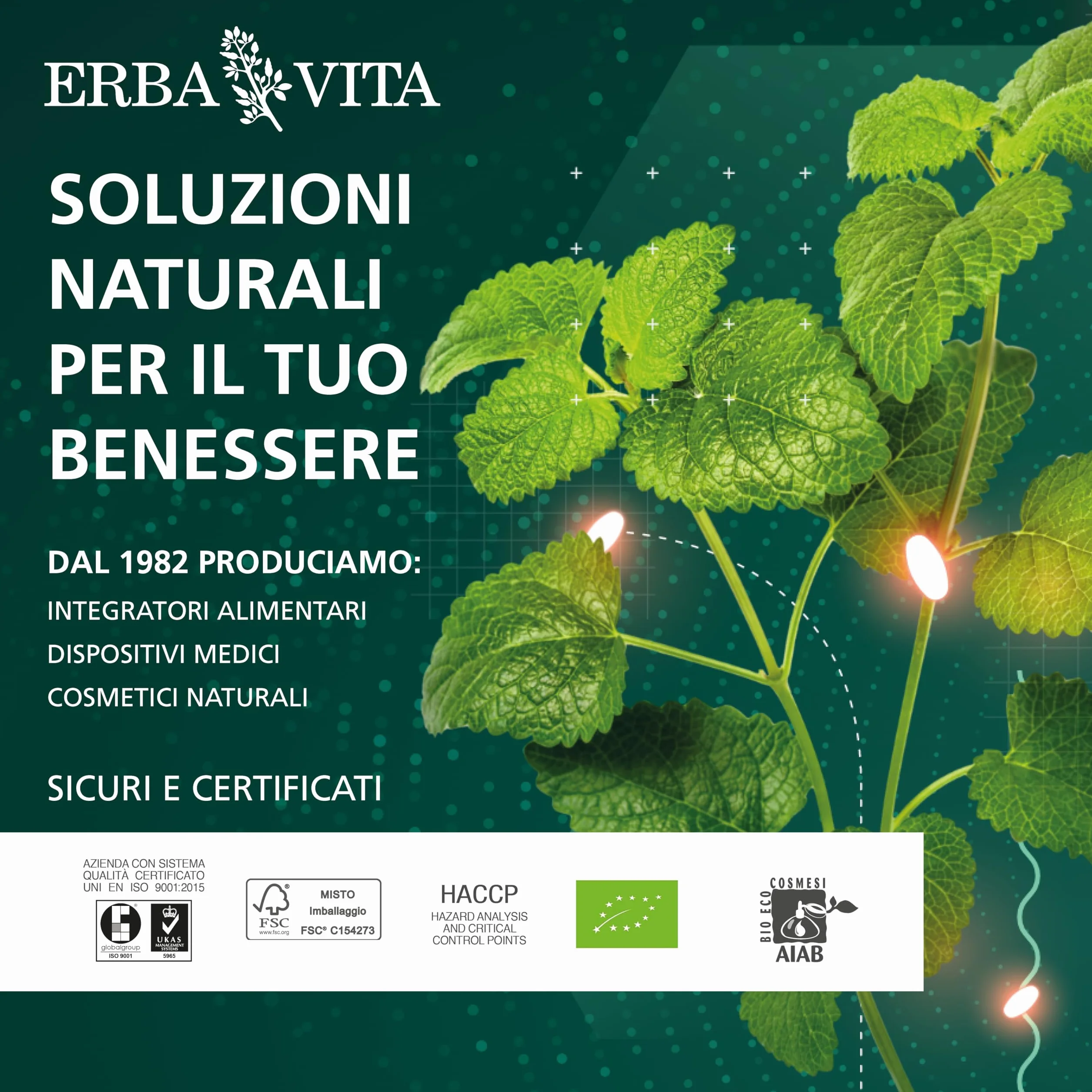 ERBA VITA Licoprost Act integratore alimentare con Licopene e Teupol10P 60 Capsule