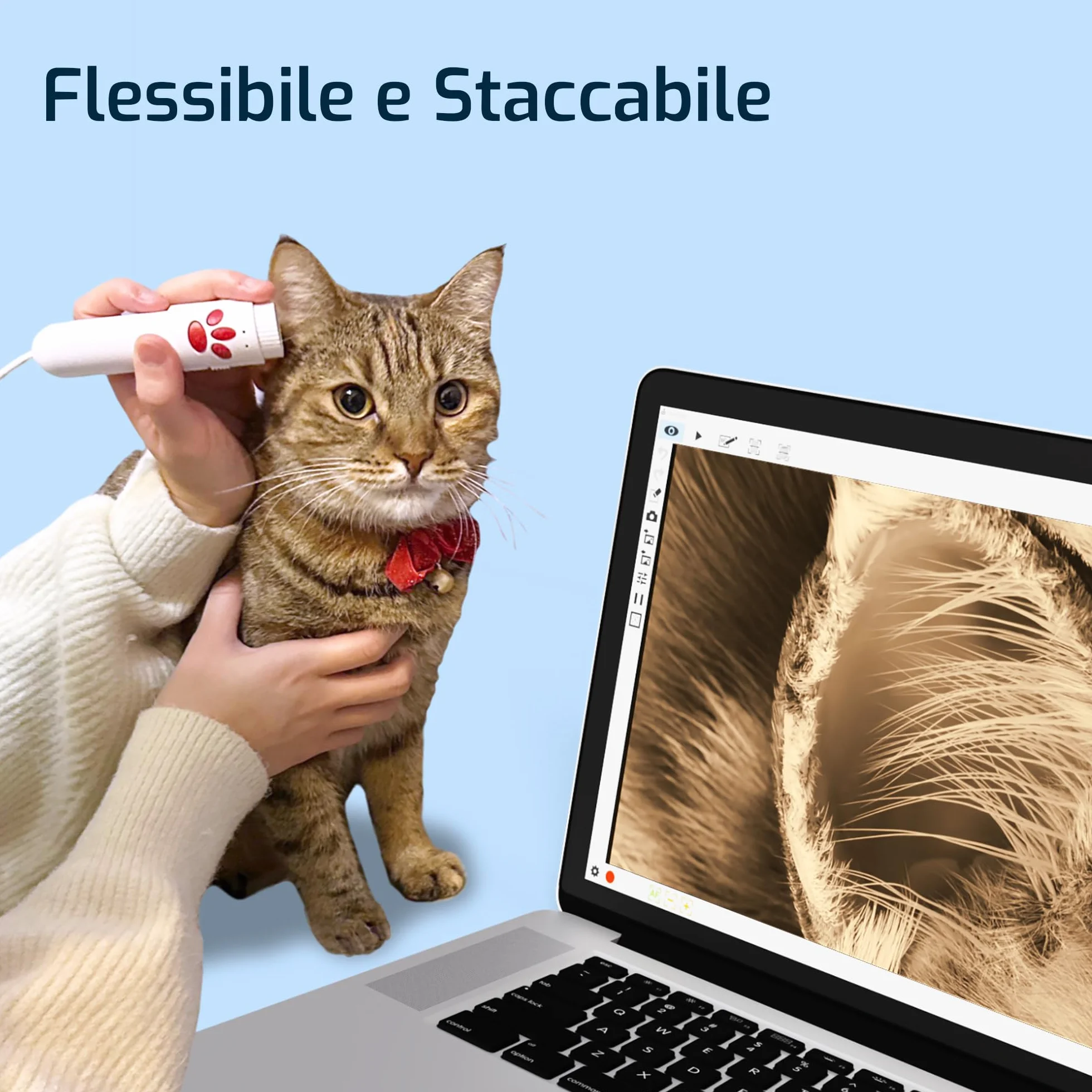INSWAN INS-3 USB Camera Documenti con Auto Focus, Microfono Incorporato e Luci per Windows, Mac OS, iPad, Chromebook