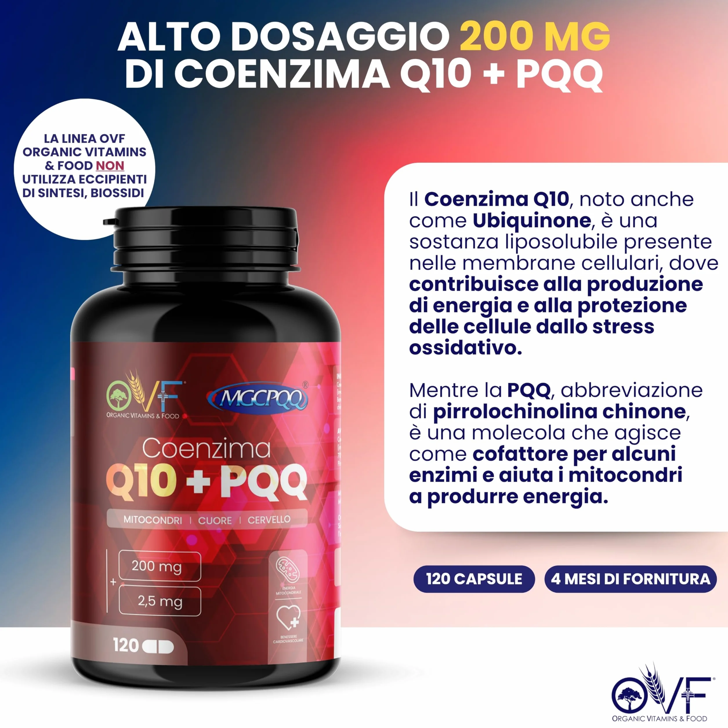 Coenzima Q10 + PQQ Integratore 120 cps 200mg Alto Dosaggio Antiossidanti Vegano Made in Italy