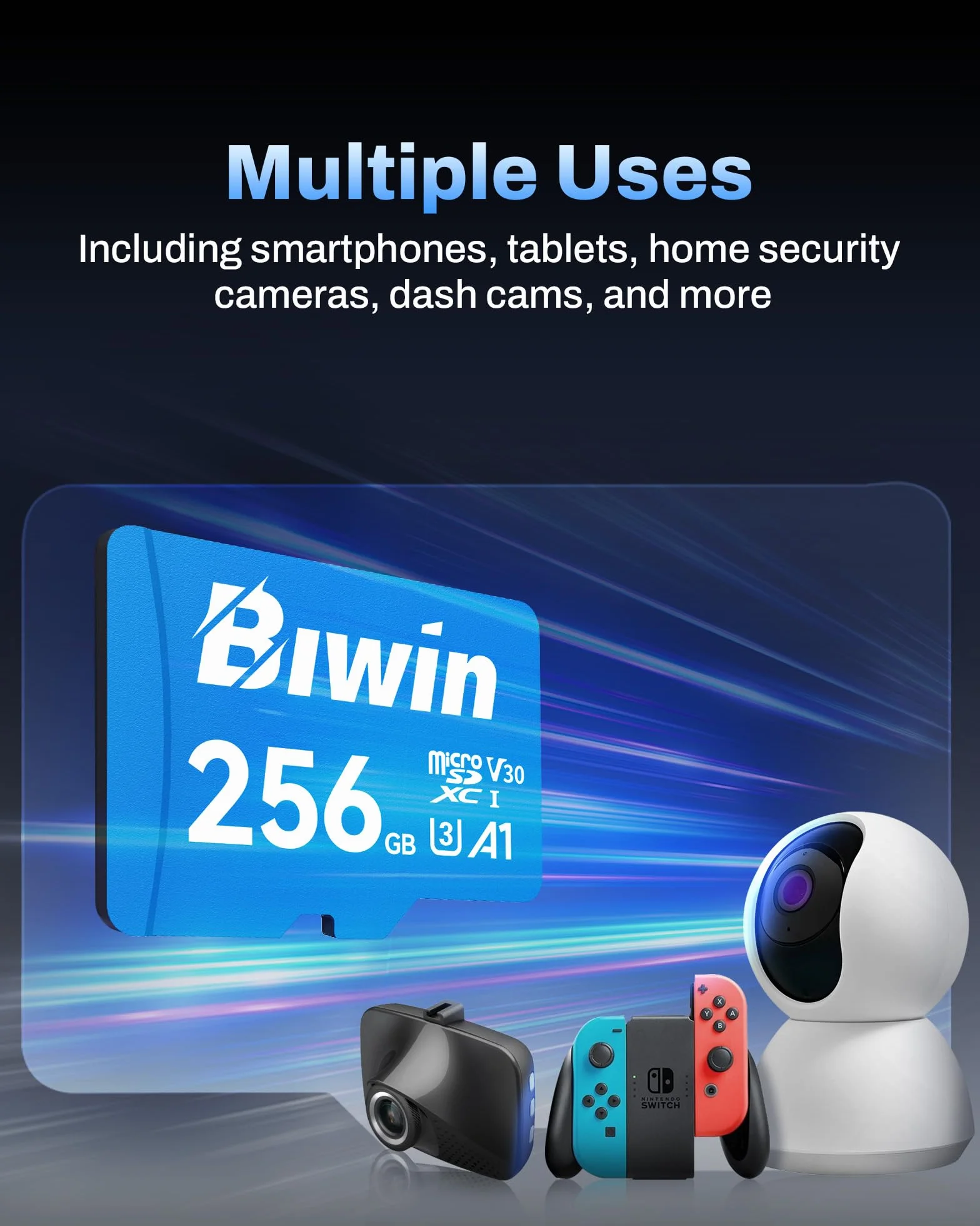 Biwin Scheda di memoria MS100 MicroSDXC UHS-I 256 GB – Lettura fino a 160 MB/s – A1 V30 U3 4K UHD video per la registrazione video di smartphone/tablet/fotocamera digitale Canon Sony