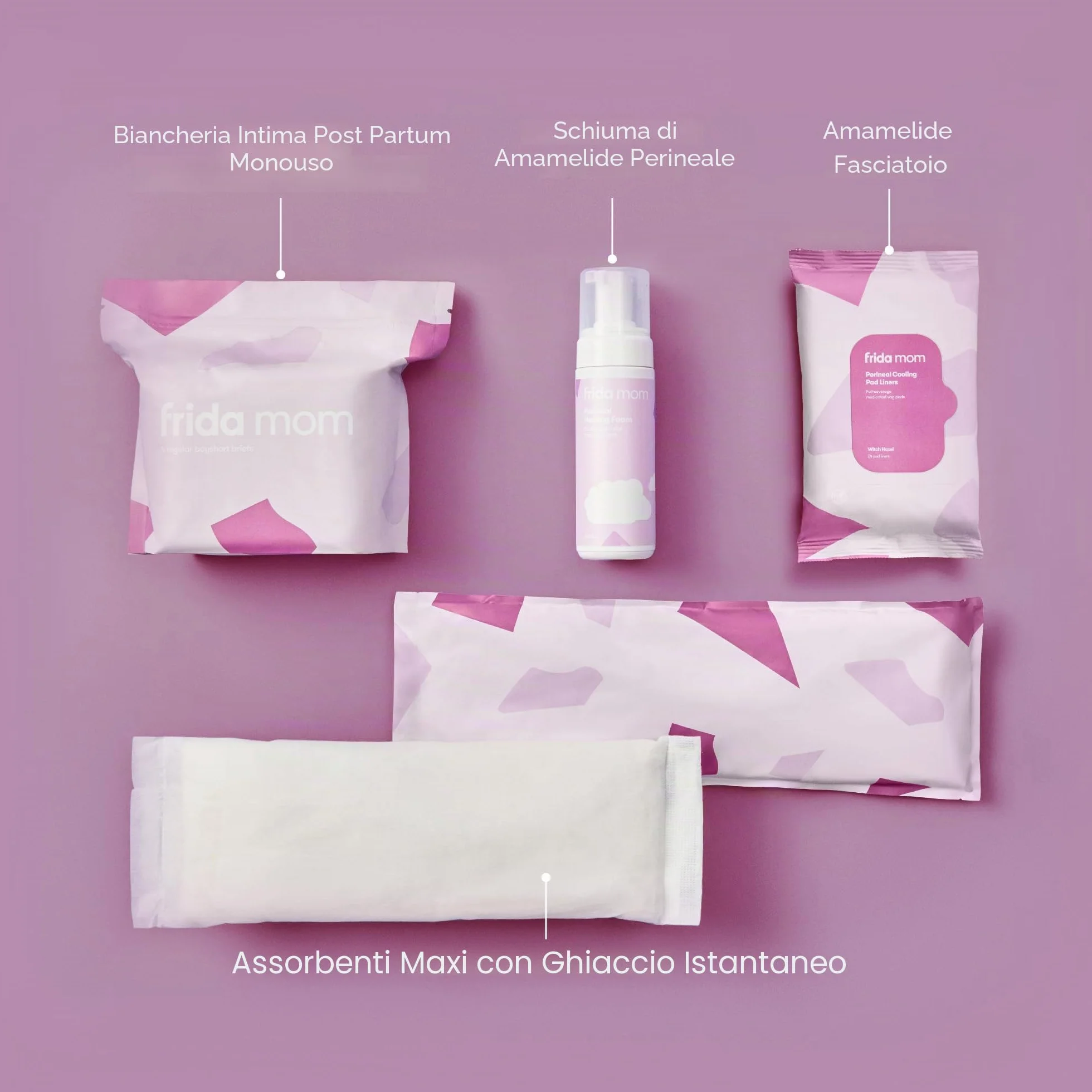 Frida Mom Kit essenziale per il recupero post parto con intimo usa e getta, maxi assorbenti, salviette refrigeranti e schiuma all'amamelide