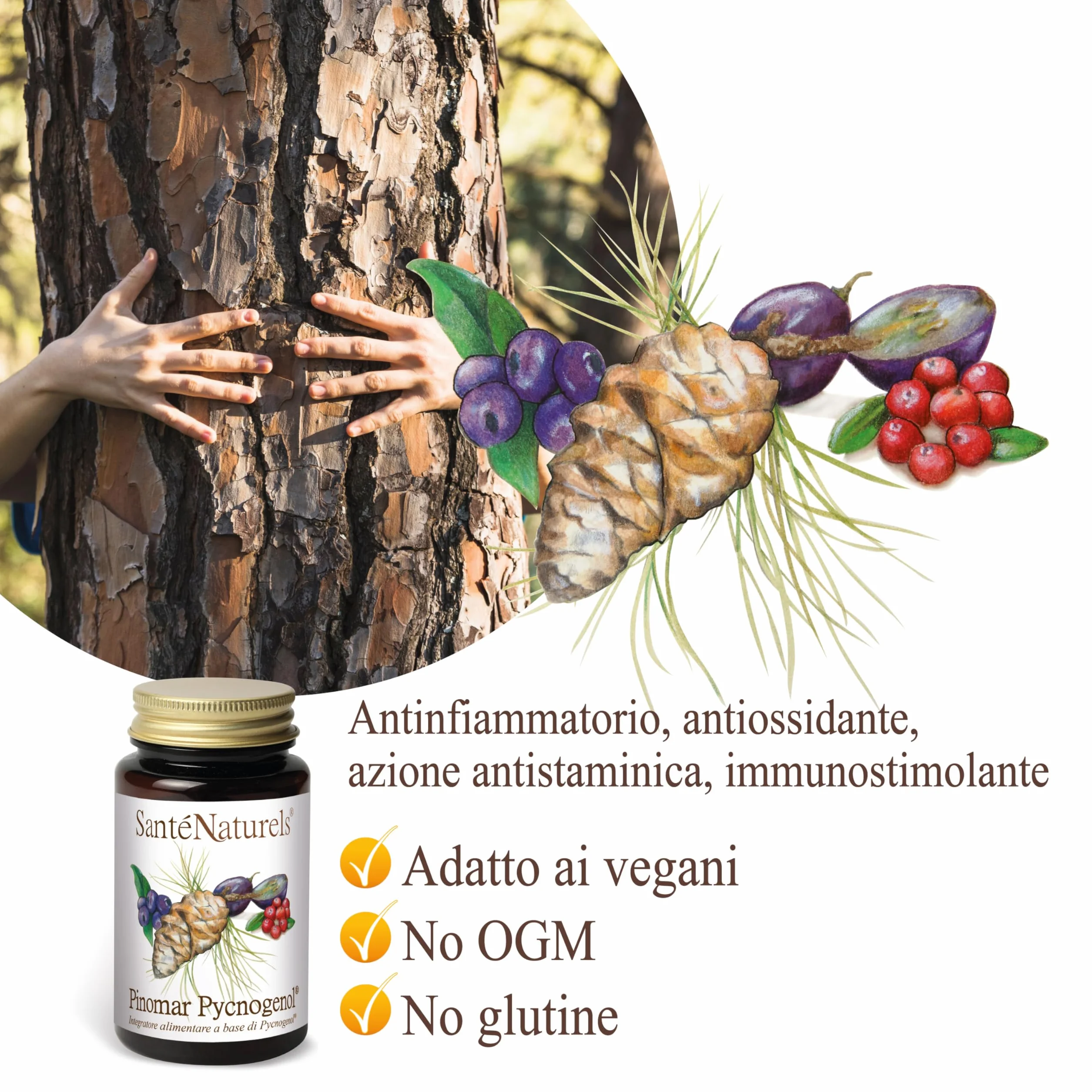 Pinomar Pycnogenol 60 Capsule Vegetali Estratto Secco di Pino Marittimo Francese con Mirtillo Nero, Mirtillo Rosso e Acini d'Uva