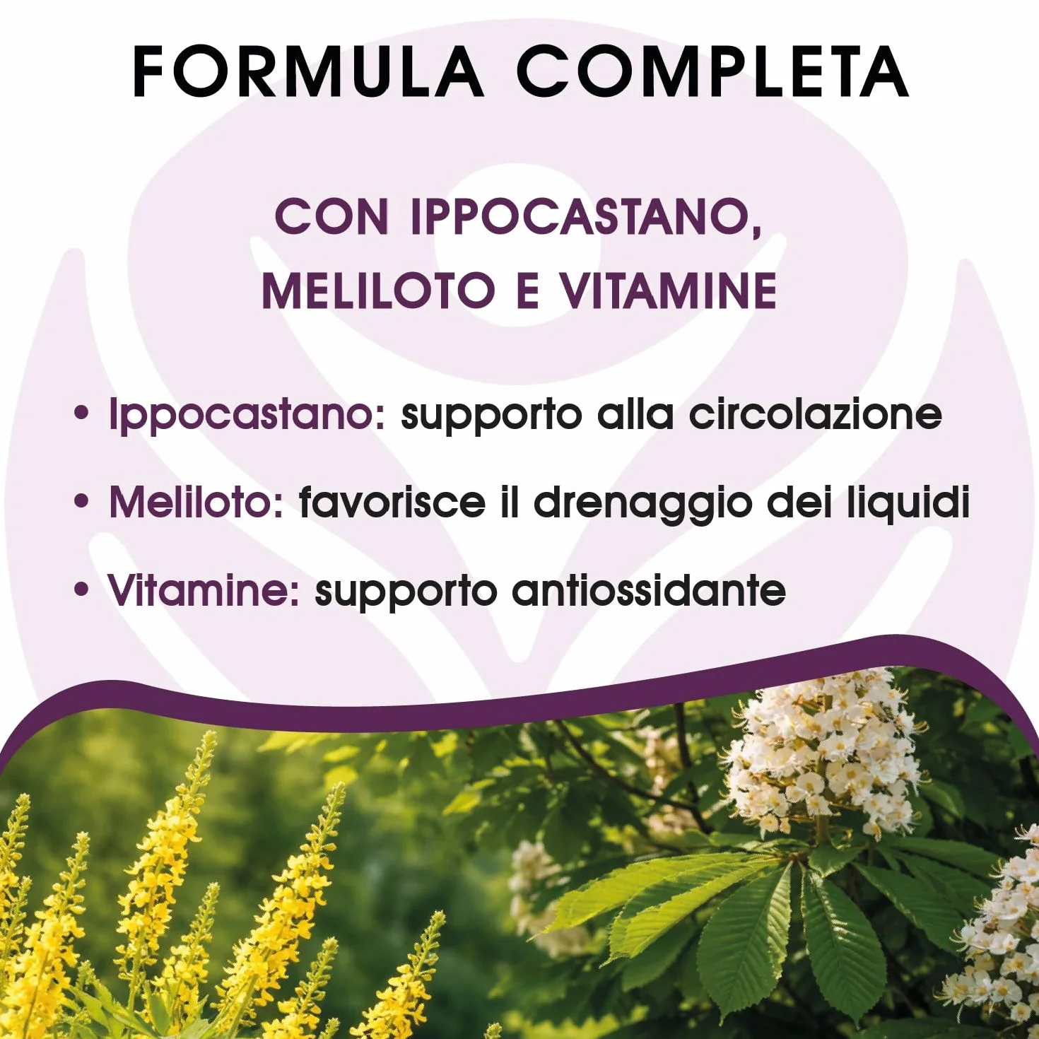Diosmina ed Esperidina integratore microcircolo emorroidi vene varicose gambe gonfie capillari rotti ippocastano meliloto vitamine