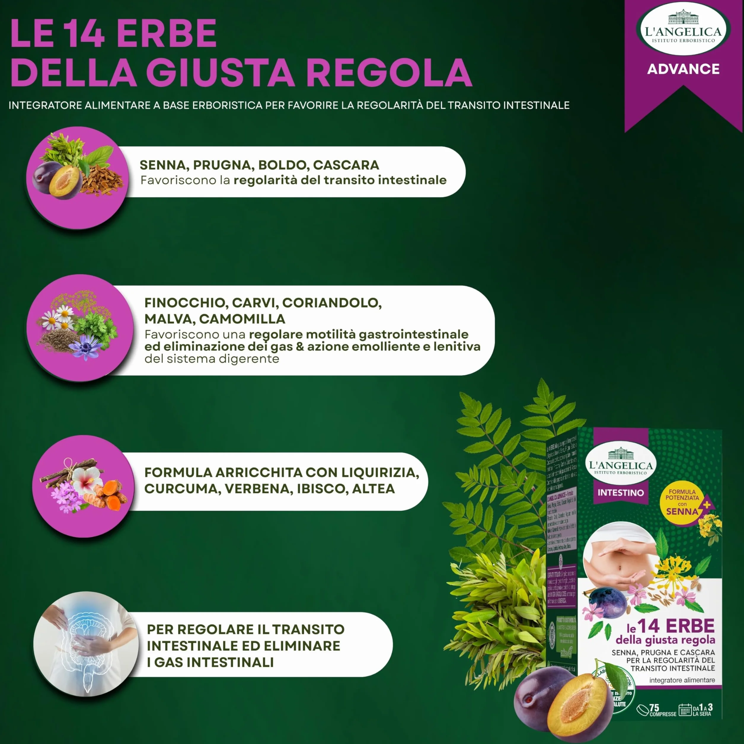 L'Angelica Le 14 Erbe della Giusta Regola Integratore Alimentare 75 Compresse