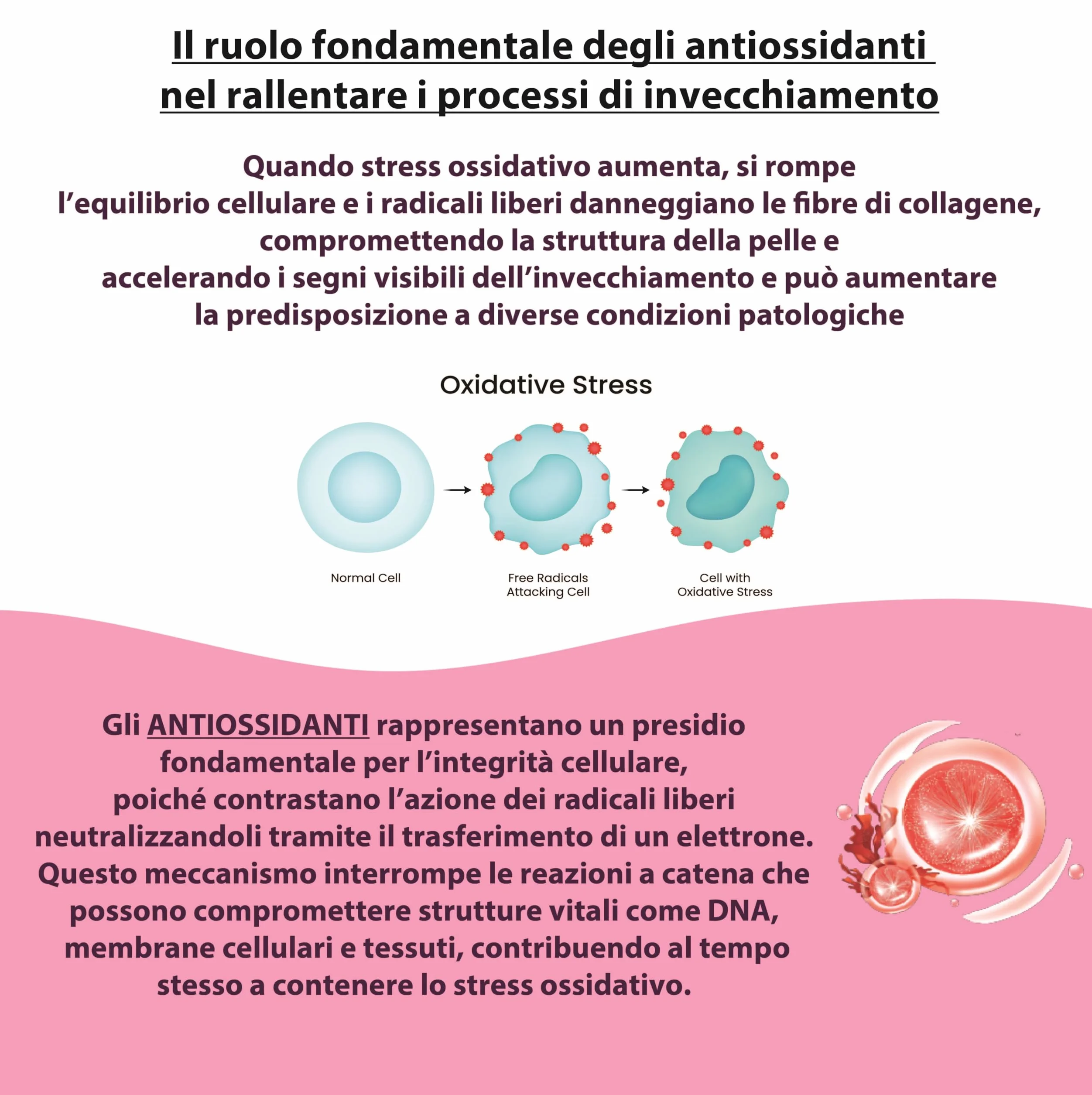 FITOERA Astaxantina Naturale 8 mg + Collagene Marino – Integratore Antiossidante – 90 Capsule Vegetali Made in Italy