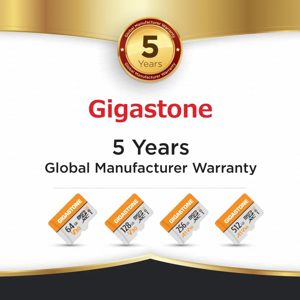 GIGASTONE V30 - Scheda di memoria Micro SD da 64 GB, registrazione video 4K, sorveglianza, telecamera di sicurezza, dash cam, drone, scheda di memoria microSDXC da 95 MB/s UHS-I classe 10, con
