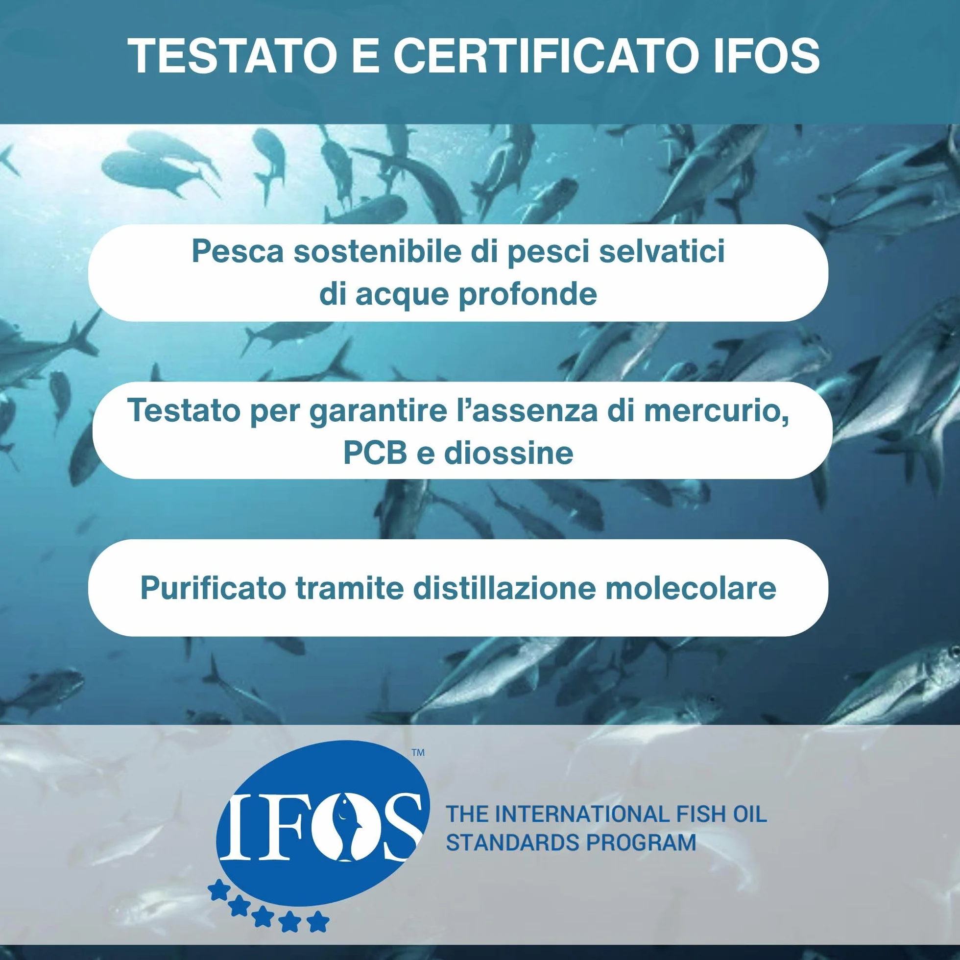 Igennus Omega 3 IFOS 5 Stelle 1000mg Olio di Pesce Ultra Puro Trigliceridi rTG EPA 670mg DHA 330mg 180 Softgel