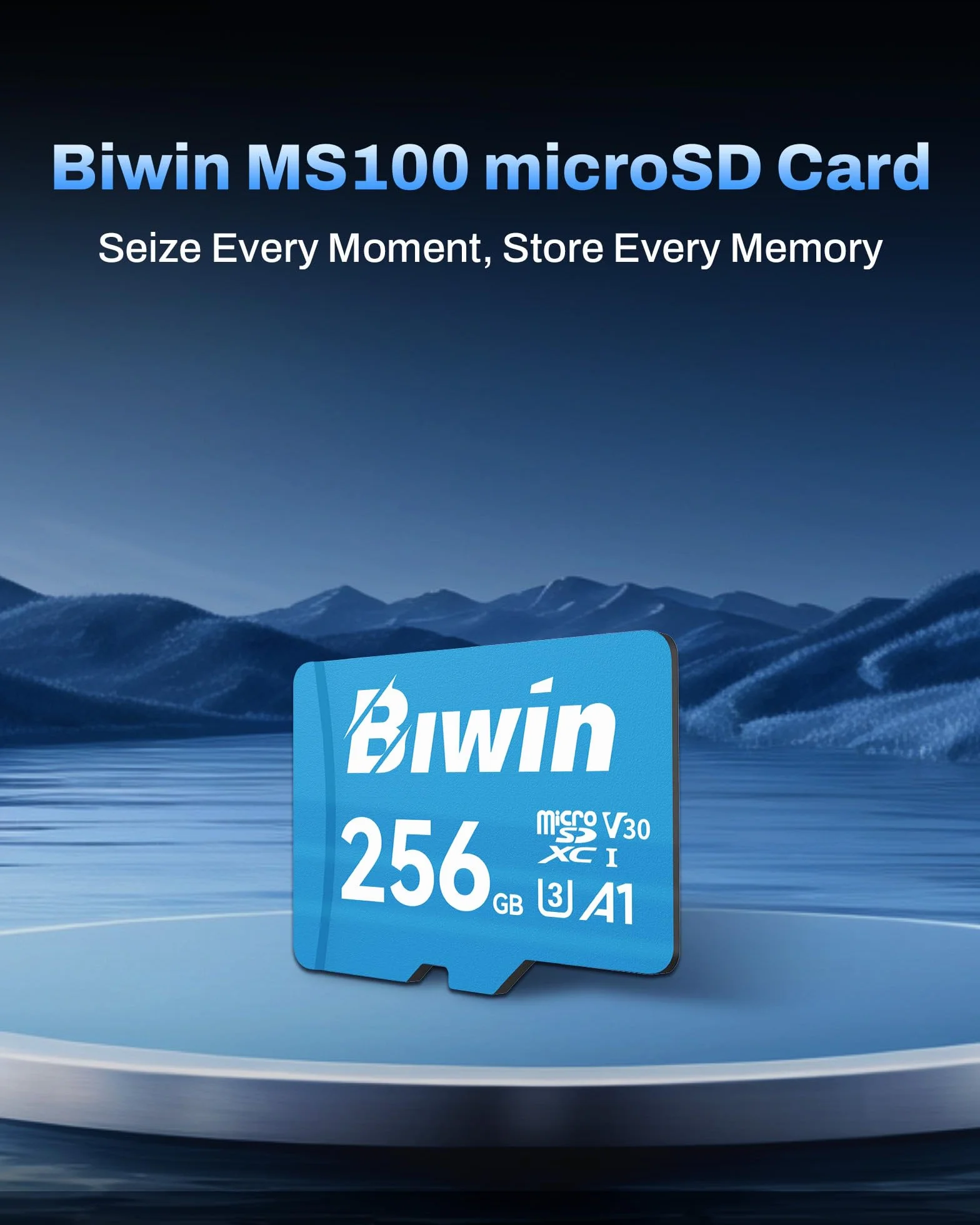Biwin Scheda di memoria MS100 MicroSDXC UHS-I 256 GB – Lettura fino a 160 MB/s – A1 V30 U3 4K UHD video per la registrazione video di smartphone/tablet/fotocamera digitale Canon Sony