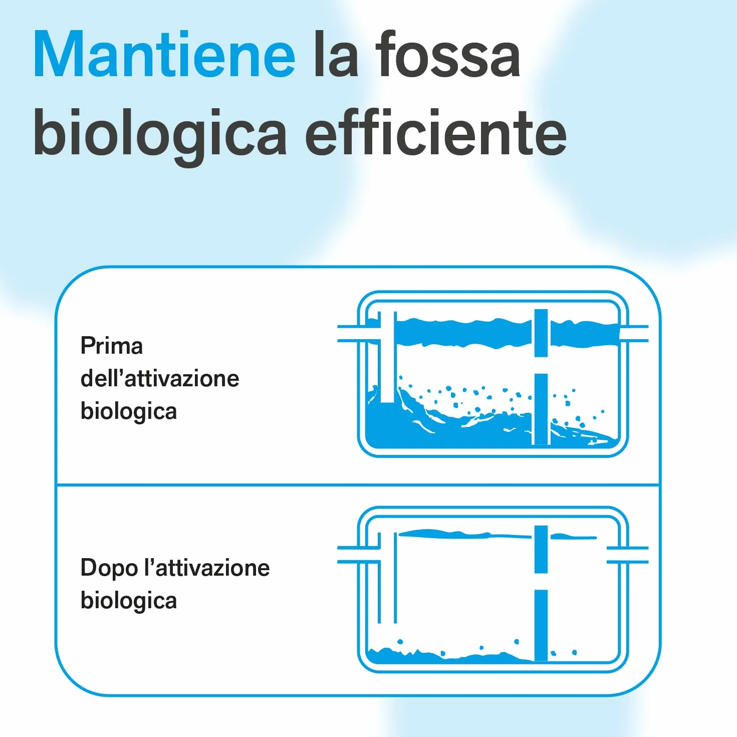 BactPro BactSeptic Attivatore Biologico Professionale Pulizia Fosse Biologiche 1,3 kg + Dosatore