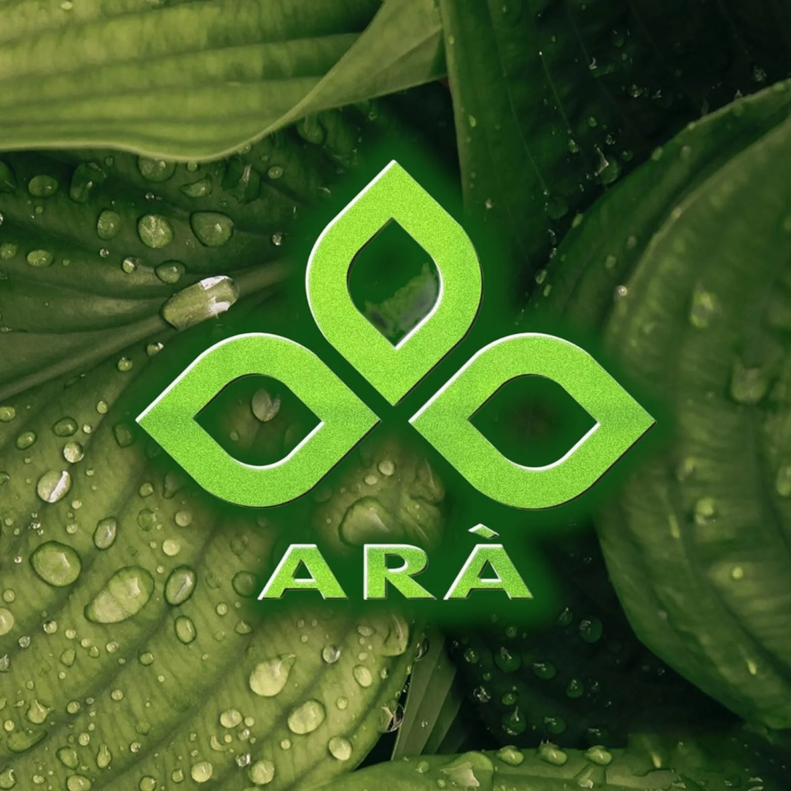 ARÀ Garcinia Cambogia Integratore Alimentare 60 CPR Made in Italy