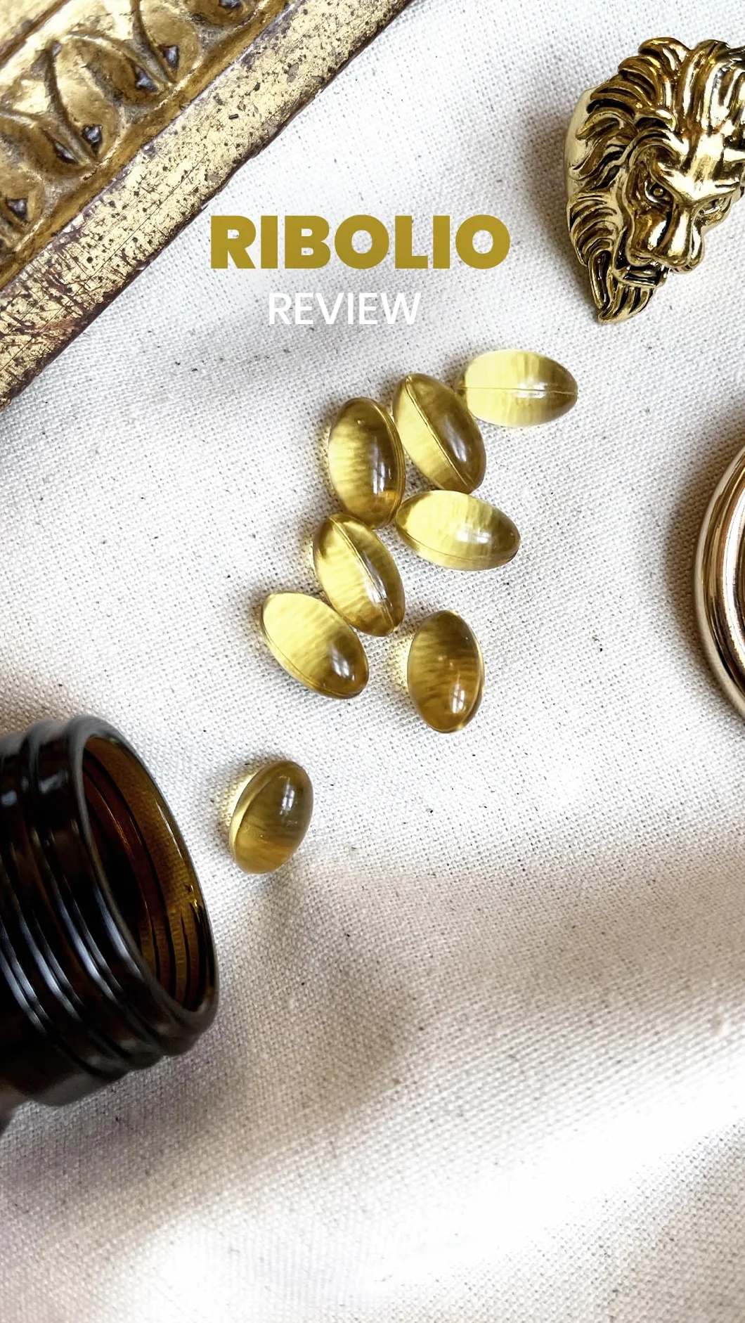 VEGETAL-PROGRESS RIBOLIO 100 Capsule Integratore Alimentare Olio di Semi di Ribes Nero Omega-3 Omega-6