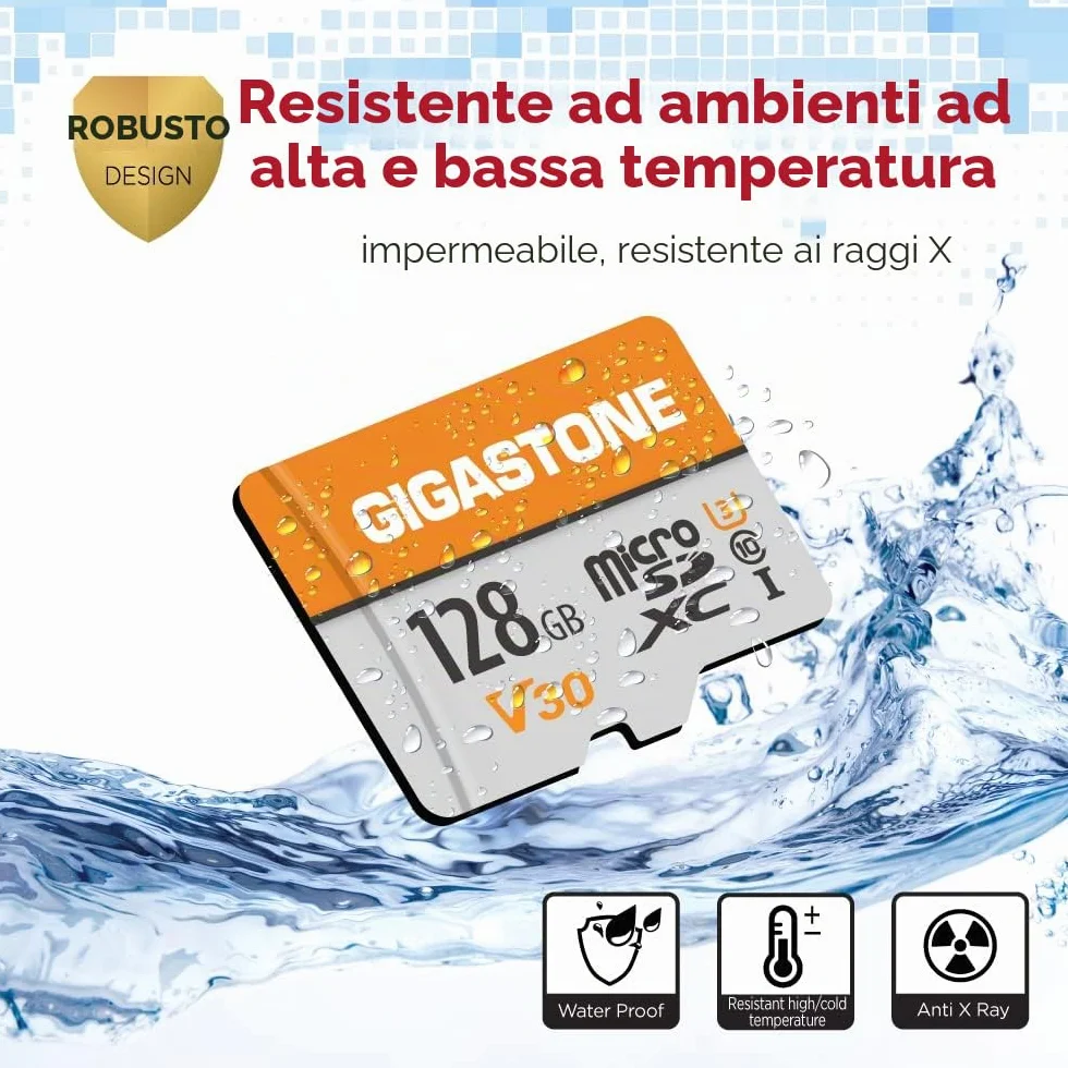 Gigastone confezione da 2 schede di memoria da 128 GB, compatibile con GoPro fotocamera Drone Tablet Samsung Sony, ad alta velocità per 4K UHD Video, A1 U3 C10 Micro SDXC con mini custodia
