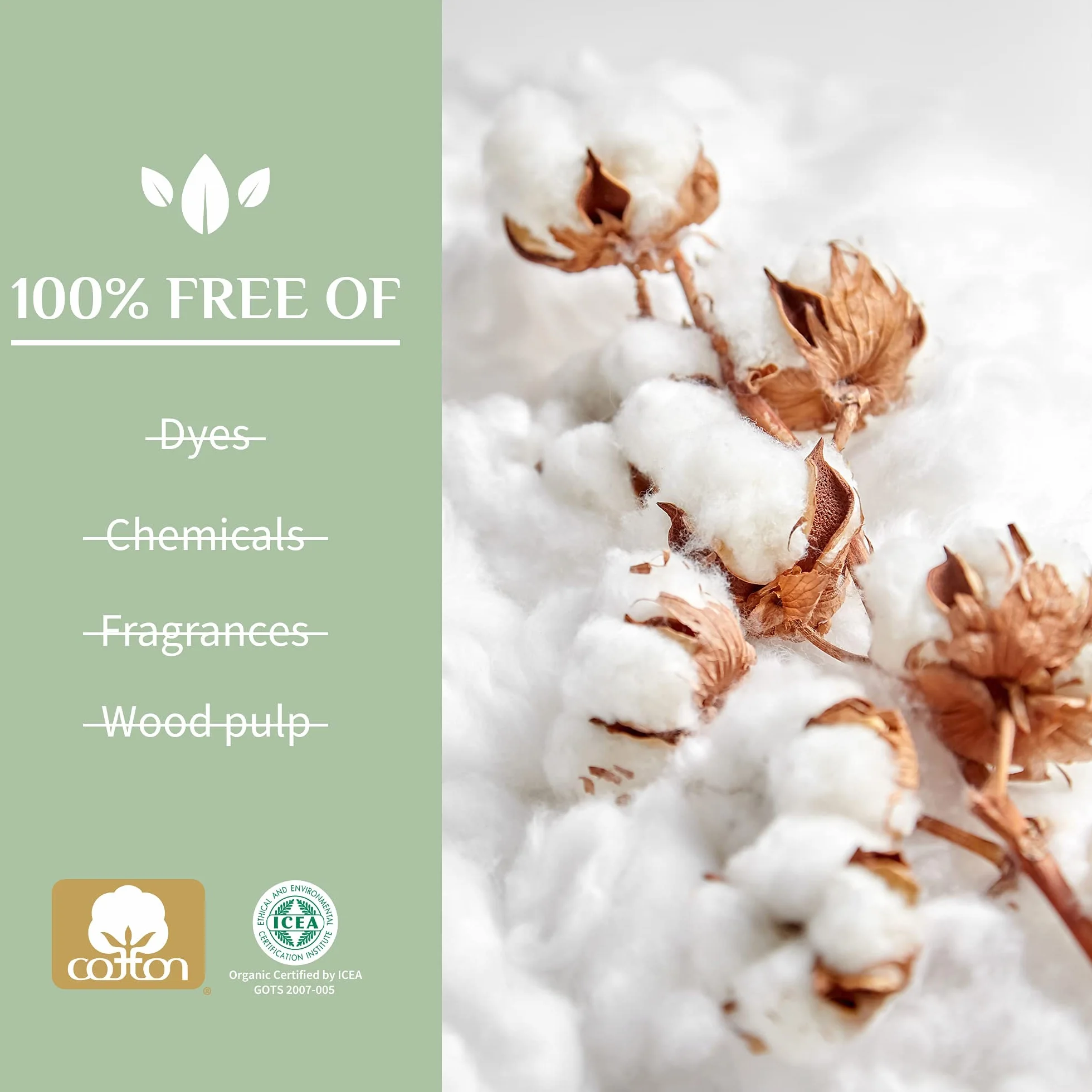 Organyc Assorbenti femminili 100% cotone biologico notte flusso pesante super assorbenza 28 pezzi