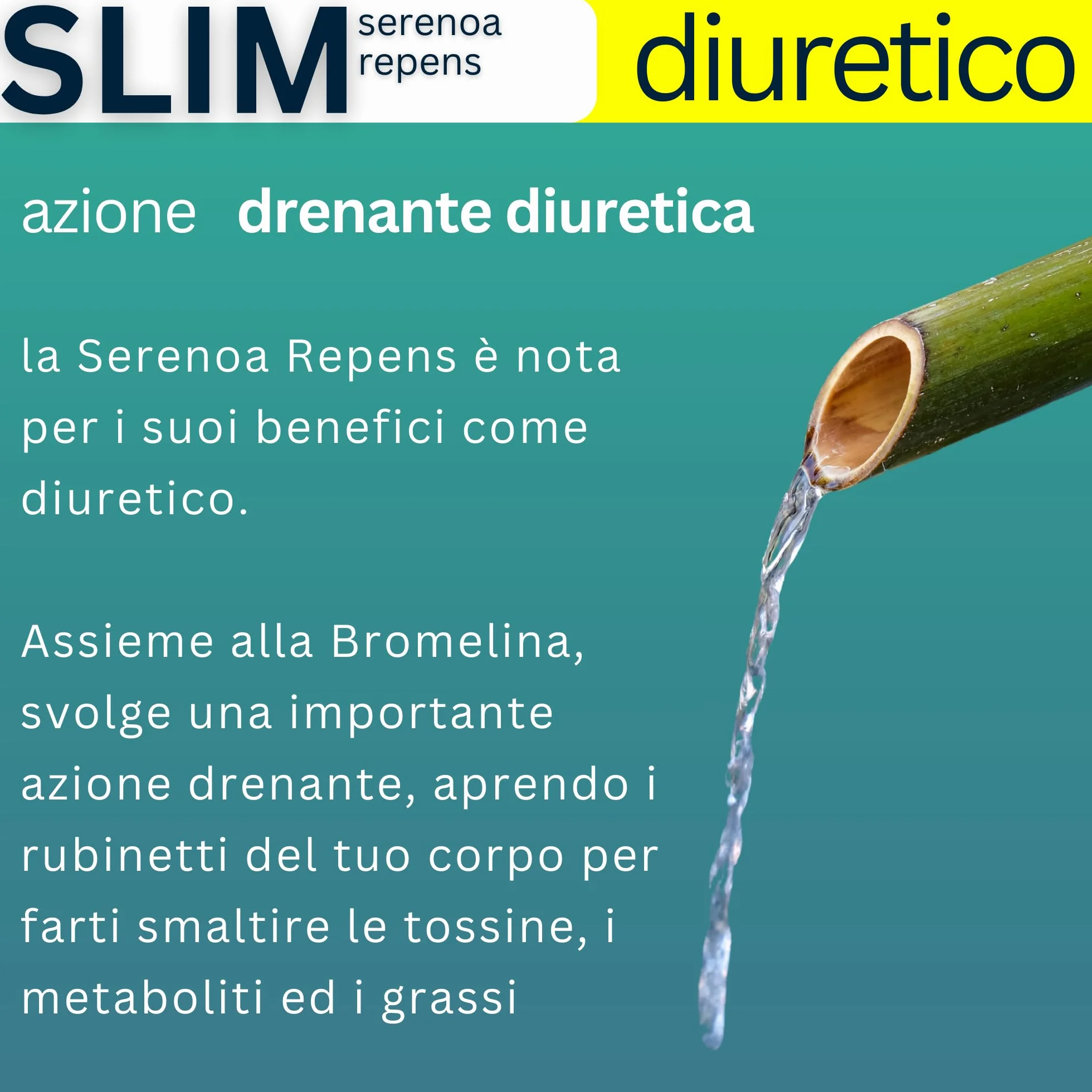 Silm Bromelina Alta Concentrazione 5000 GDU 2500 GDU Serenoa Repens The Verde Finocchio Drenante Naturale 120 Compresse Vegane Made in Italy