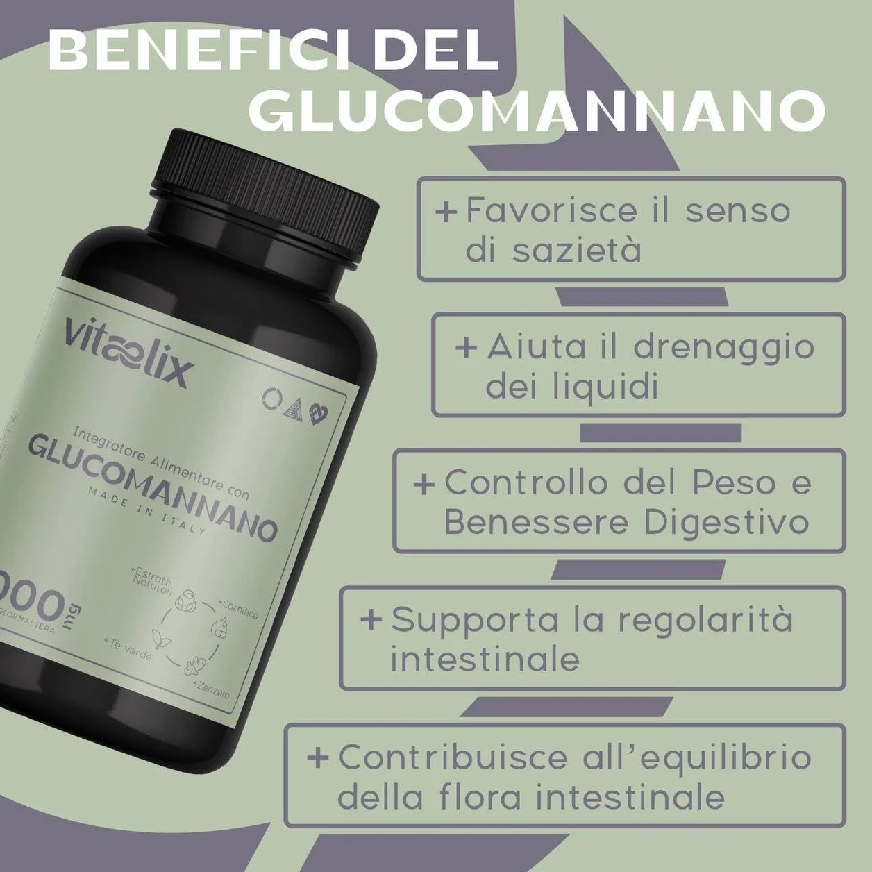 Glucomannano Forte 3000 Mg 120 Capsule Integratore Alimentare con Inulina, Carnitina, Zenzero, Ginseng, Tè Verde, Magnesio - Vitaelix®