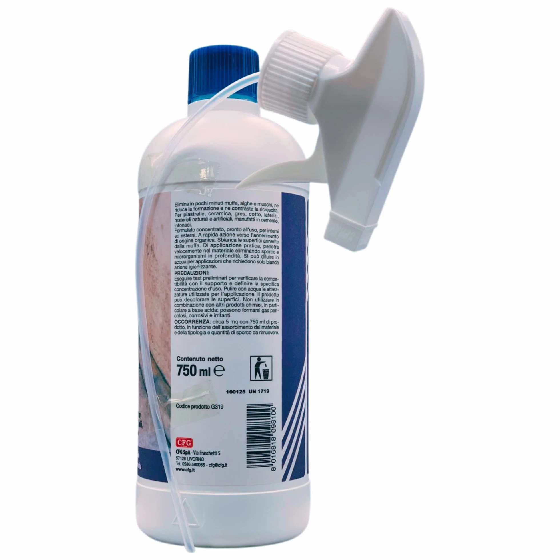 TOGLI MUFFA Flacone Con Spruzzino 750ml (2 Flaconi) Rimuove Muffa Muschio Alghe