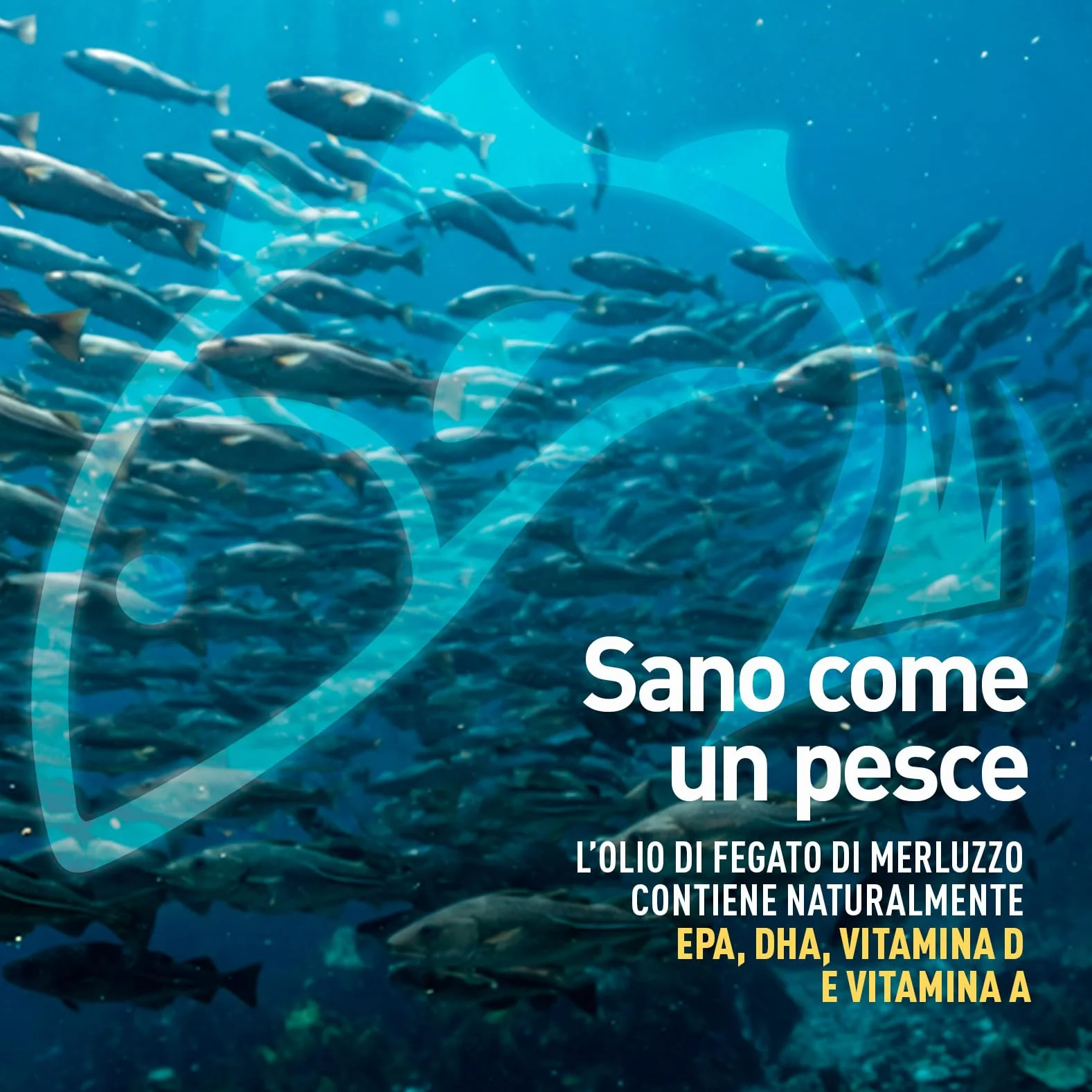 LongLife® Olio di fegato di merluzzo 1000mg Omega 3 EPA DHA Vitamina A D3