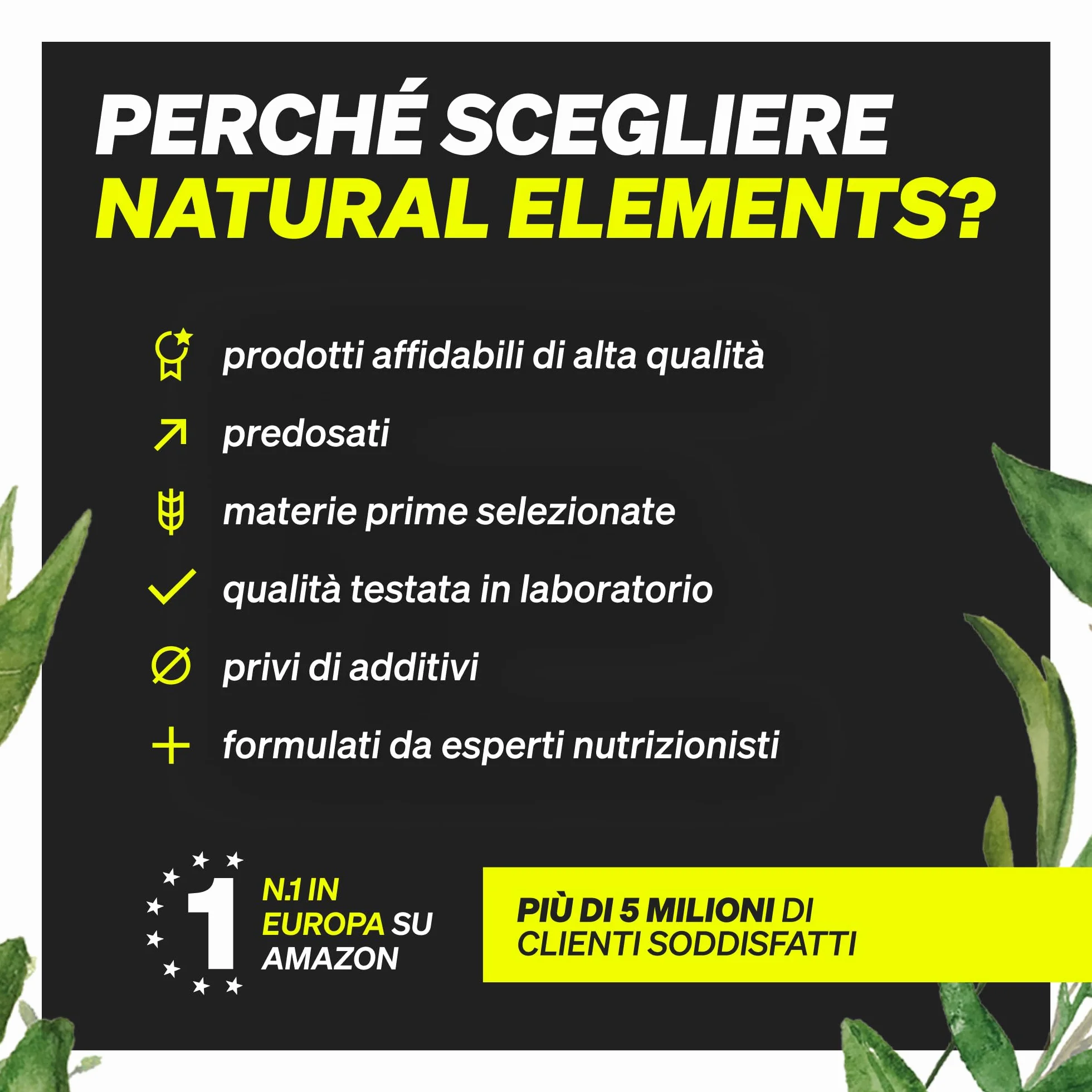 Omega 3 Olio di Pesce 2000mg 365 softgels EPA 360mg DHA 240mg alto dosaggio Germania