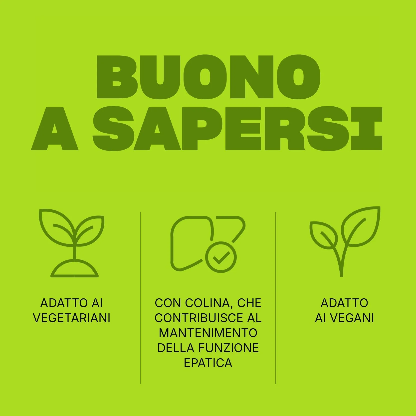 Swisse Detox Colina Integratore Supporto Funzione Epatica 60 Compresse Rivestite Made in Italy