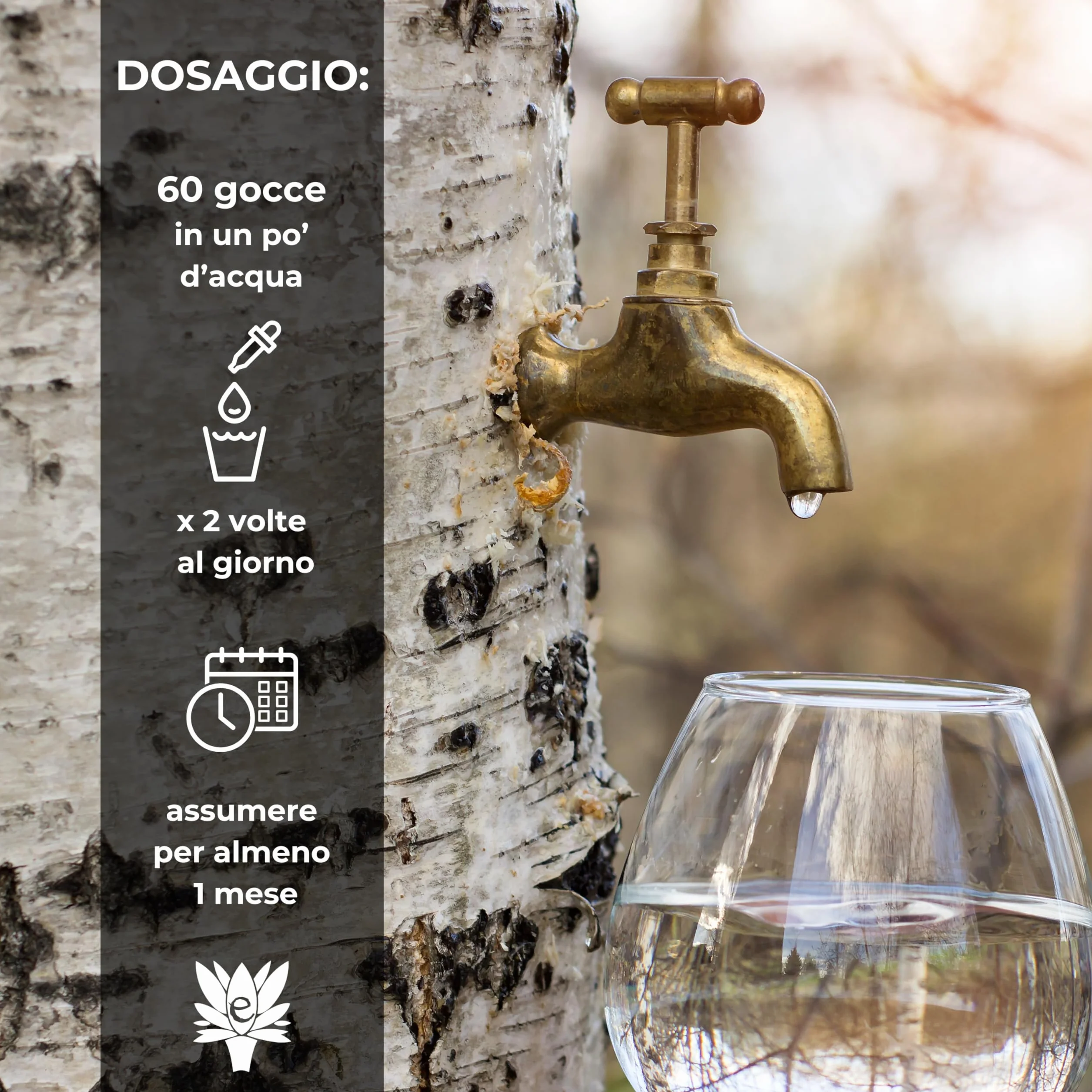Linfa di betulla gemmoderivato drenante forte 50ml Made in Italy