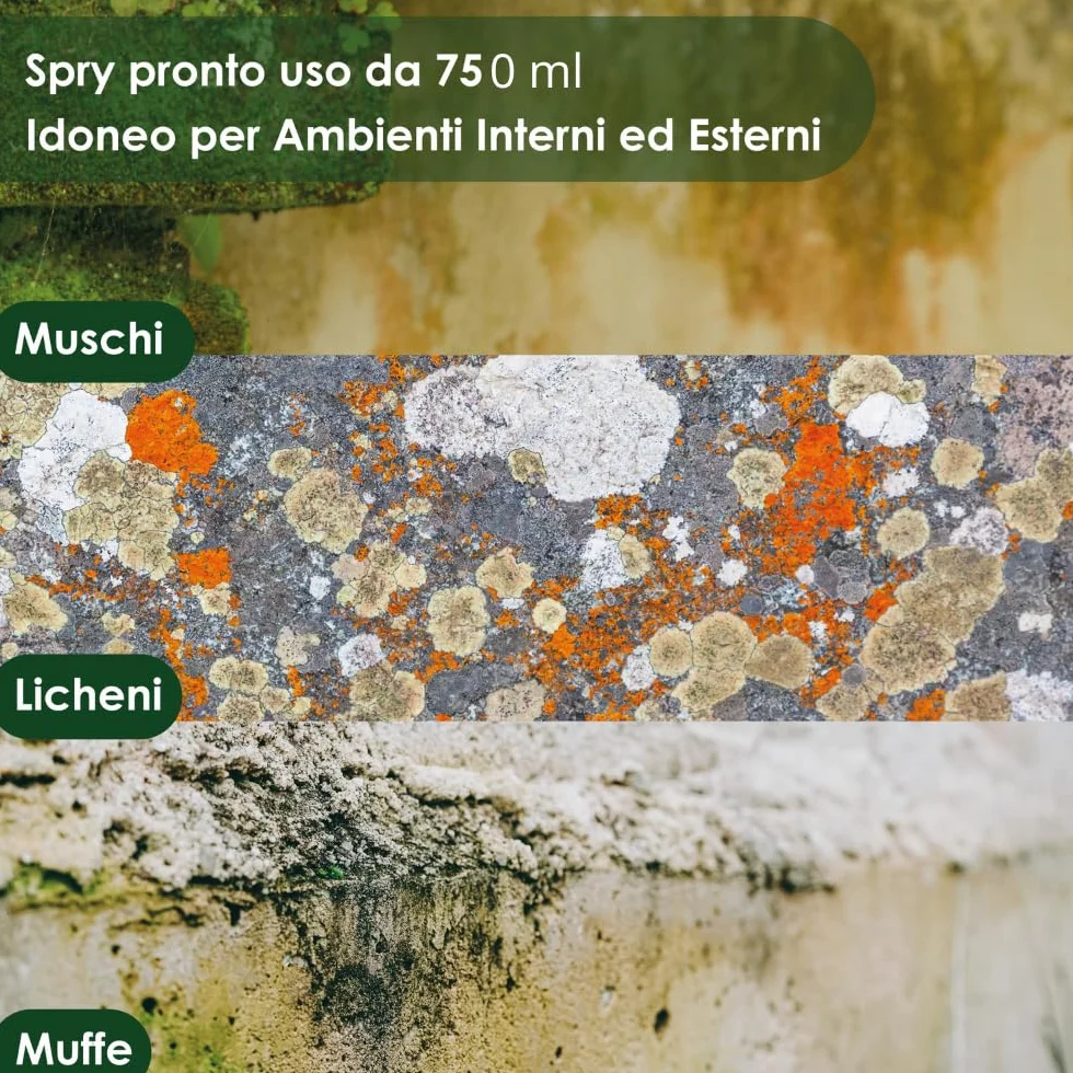 AGRI-CULTURA® Spray Antimuffa per Muri Interni 750 ml - Rimuove Muffa Alghe e Muschi per Bagno, Camera, Armadio