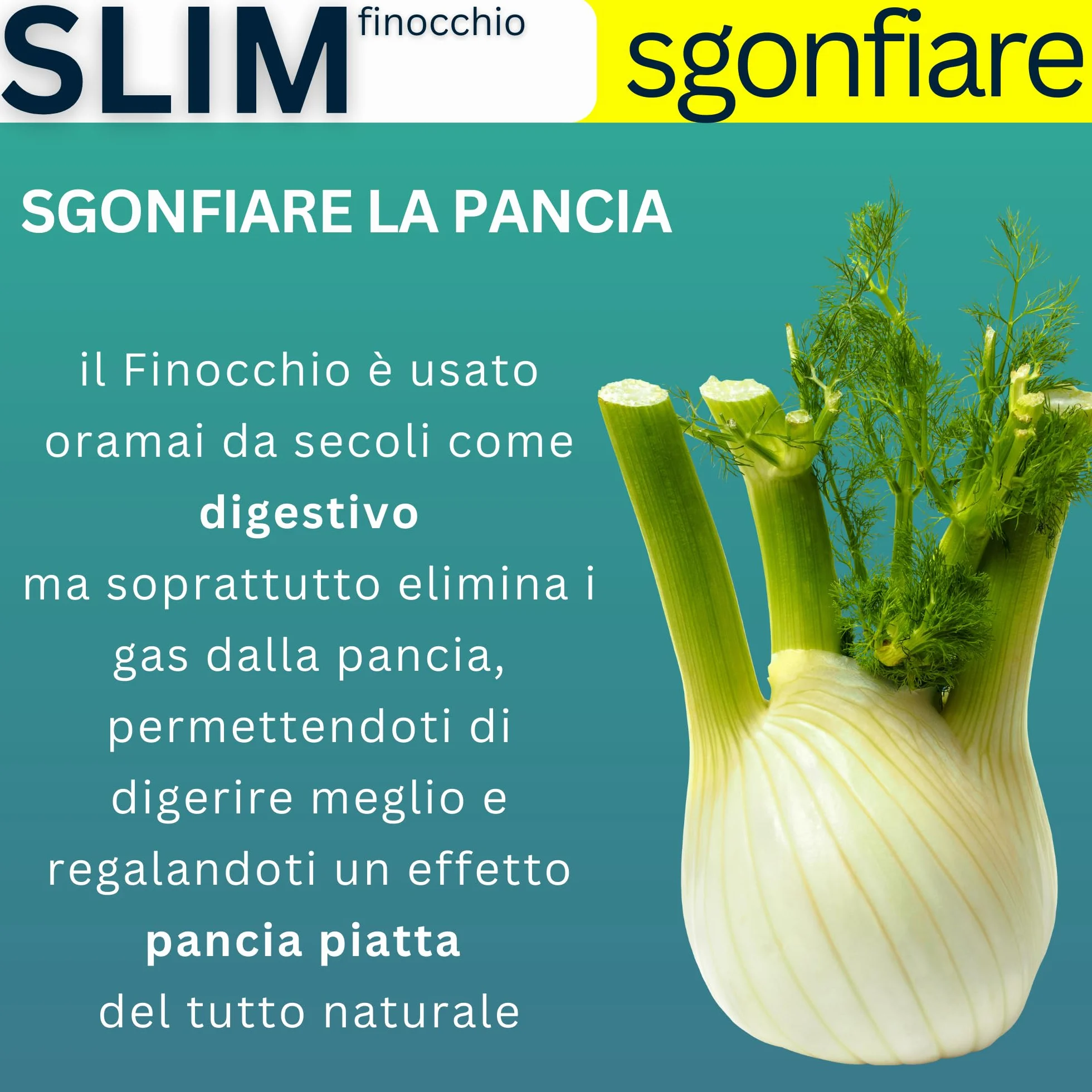 Silm Bromelina Alta Concentrazione 5000 GDU 2500 GDU Serenoa Repens The Verde Finocchio Drenante Naturale 120 Compresse Vegane Made in Italy