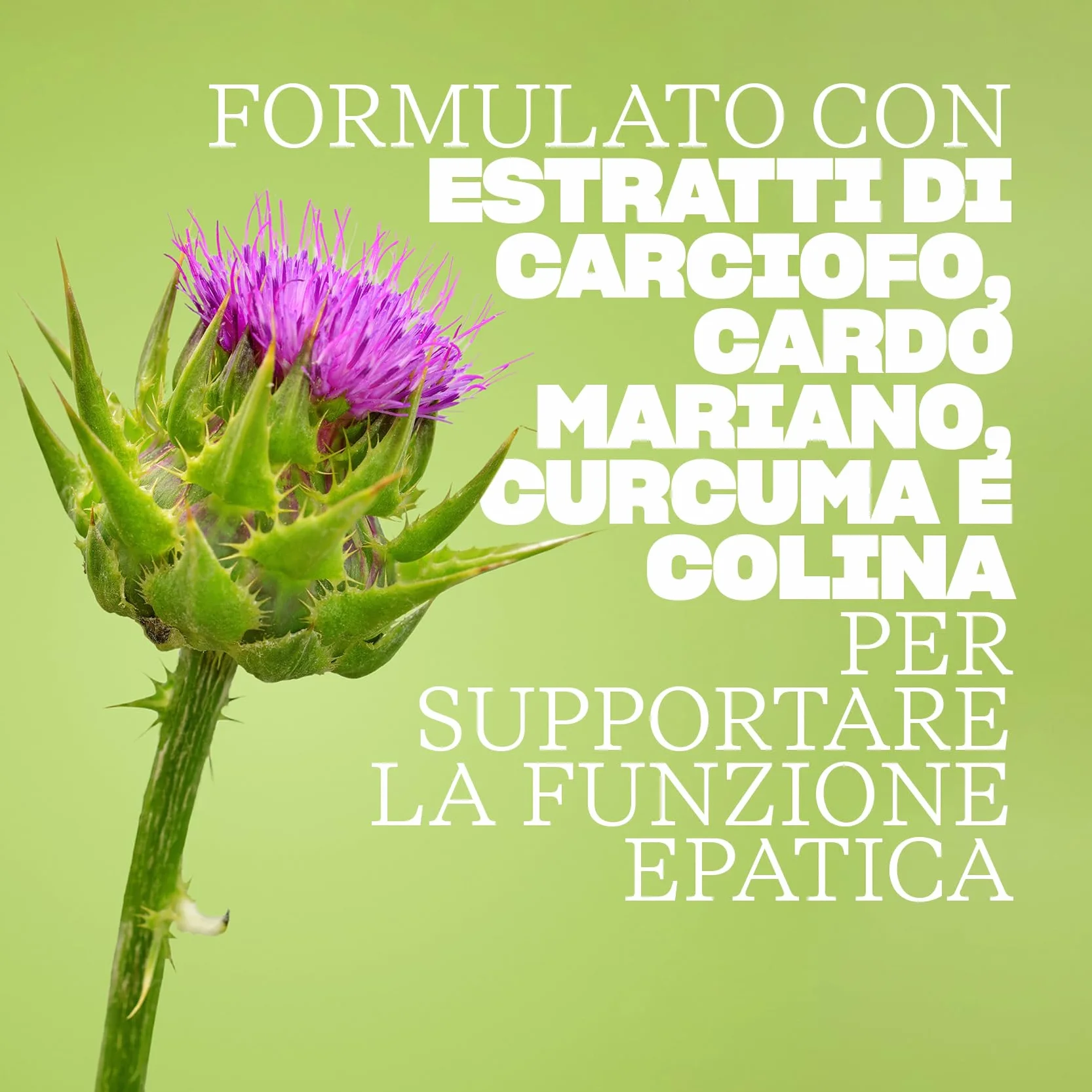 Swisse Detox Colina Integratore Supporto Funzione Epatica 60 Compresse Rivestite Made in Italy