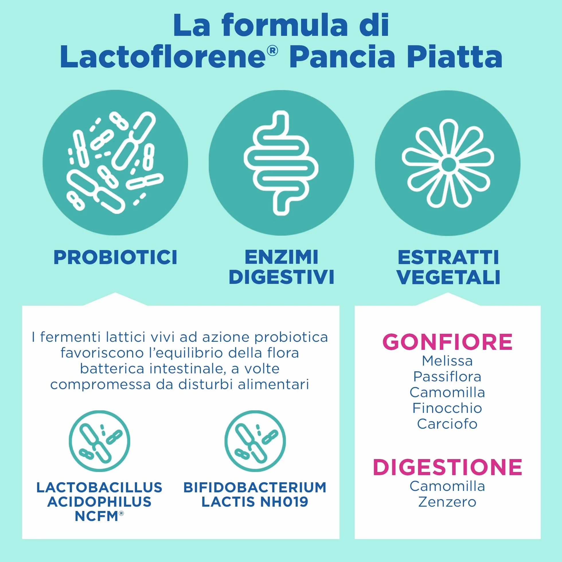 Montefarmaco Otc Lactoflorene Pancia Piatta 10 Bustine