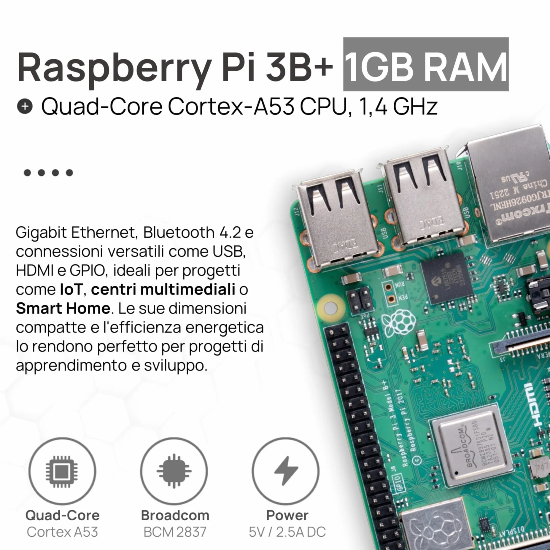 Raspberry Pi 3 B+ Starter Kit 64 GB Alimentatore 13W Alloggiamento Cavo HDMI 4K per Home Assistant Smart Home